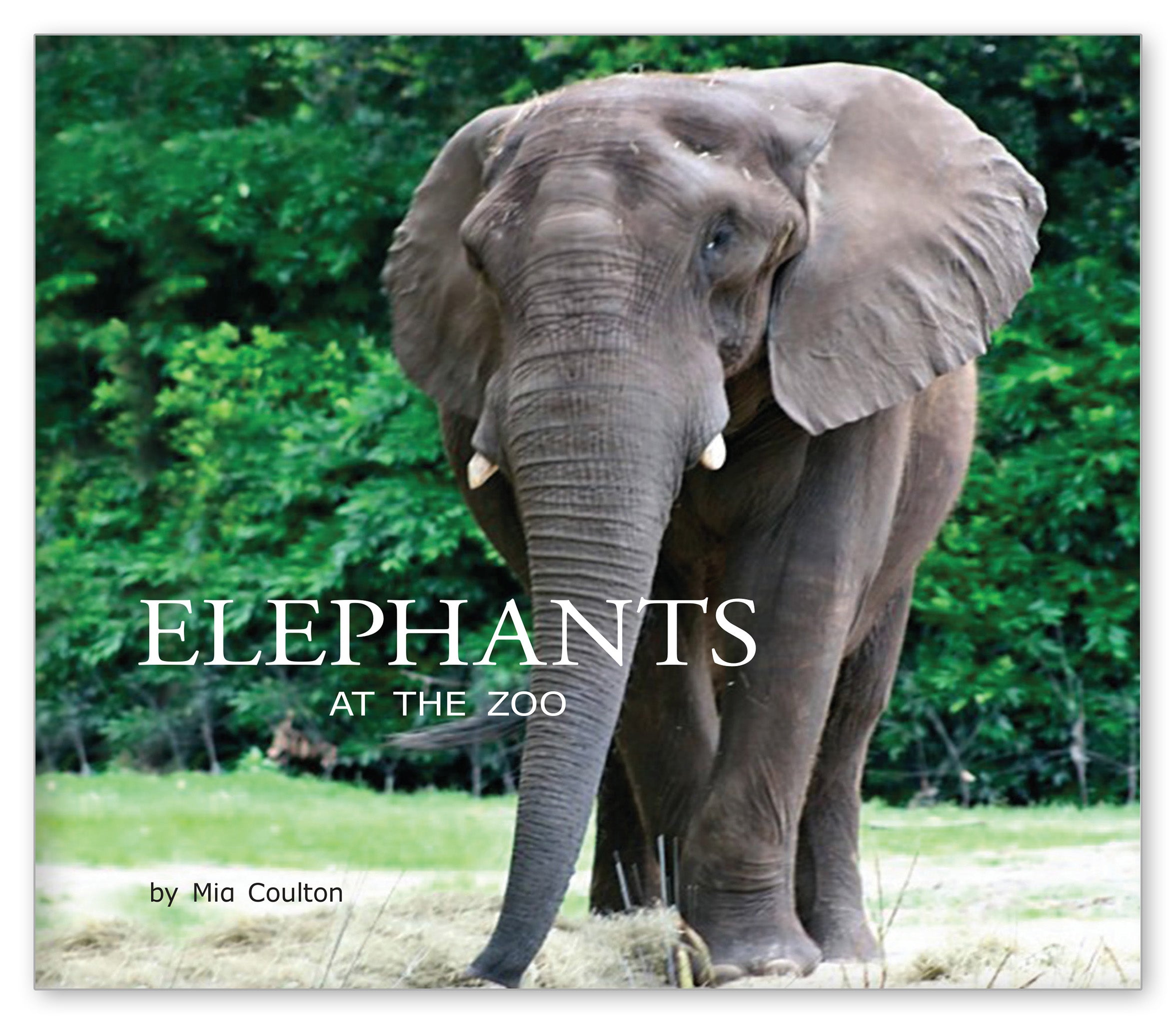 Elephants at the Zoo from At the Zoo