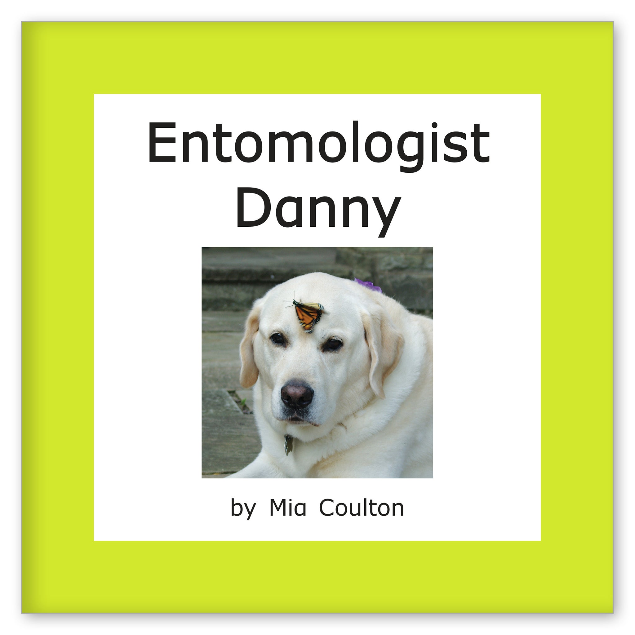 Entomologist Danny from Scientist Danny Set