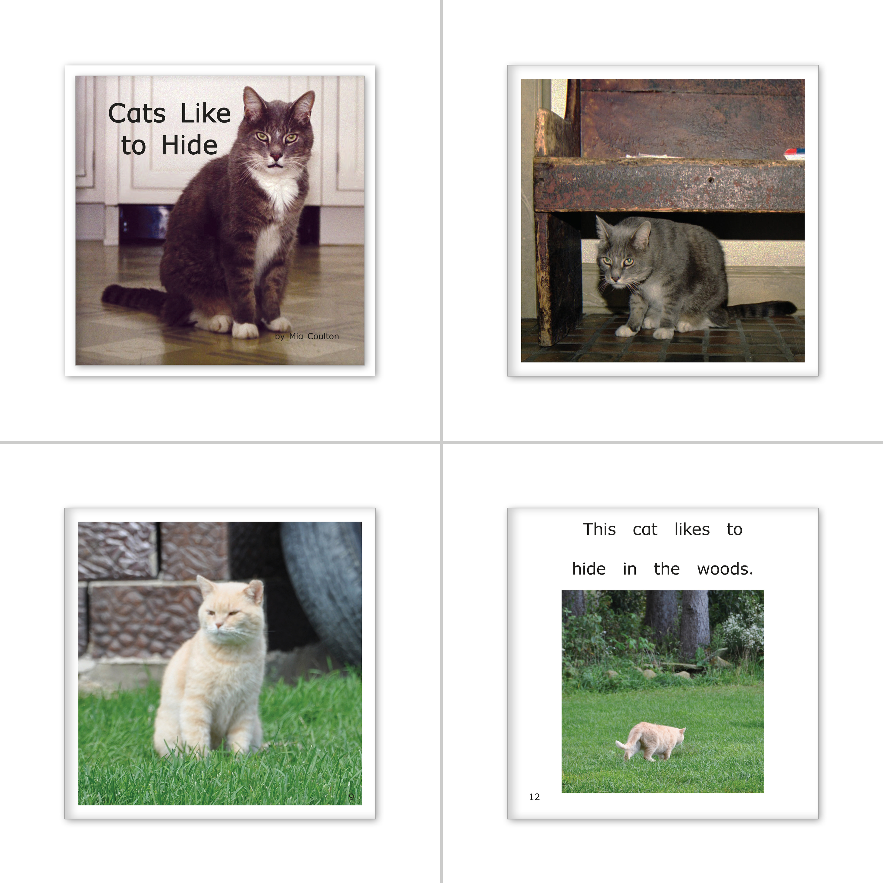 Favorite Farm Animals Set