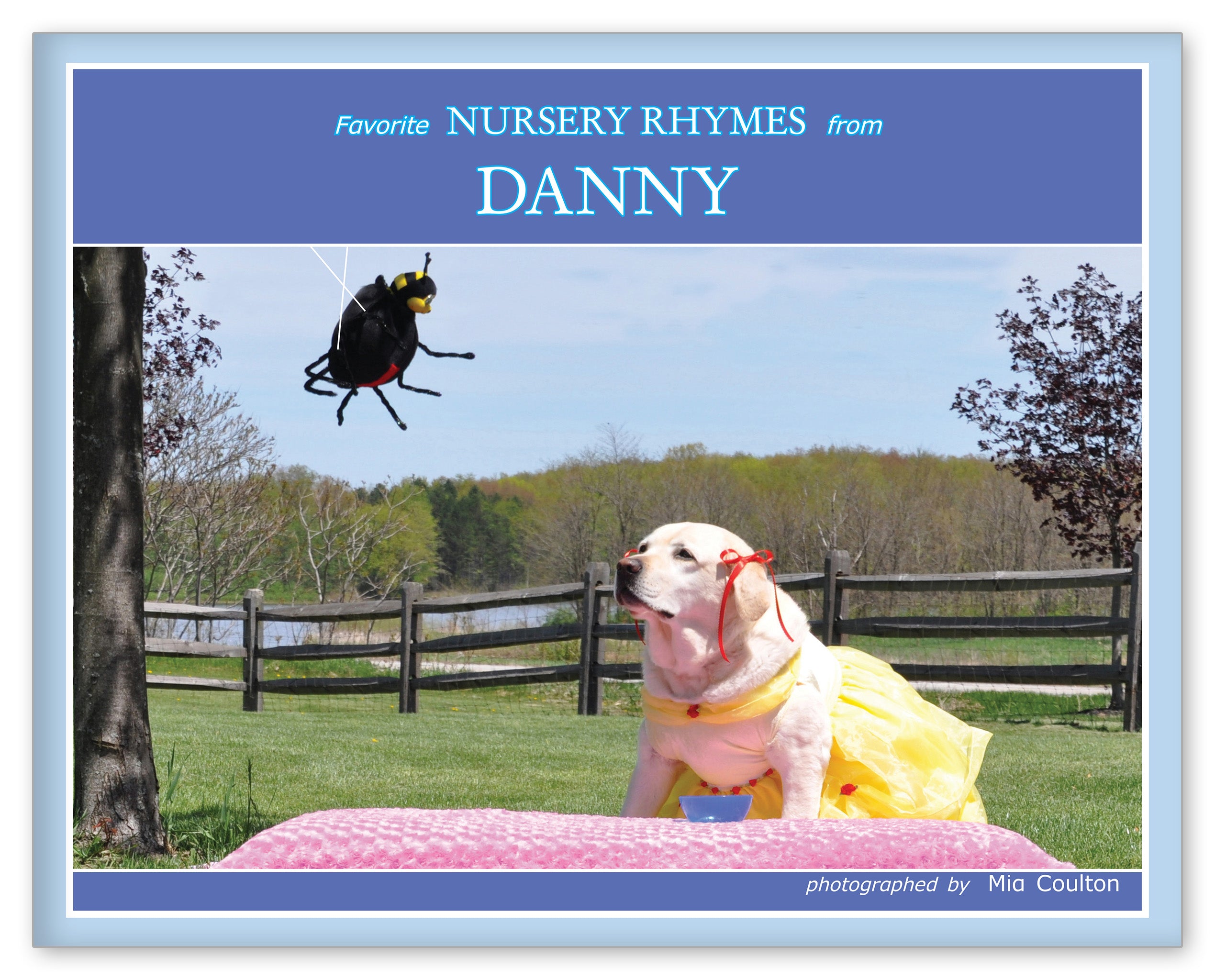 Favorite Nursery Rhymes from Danny from Get Ready to Read Books