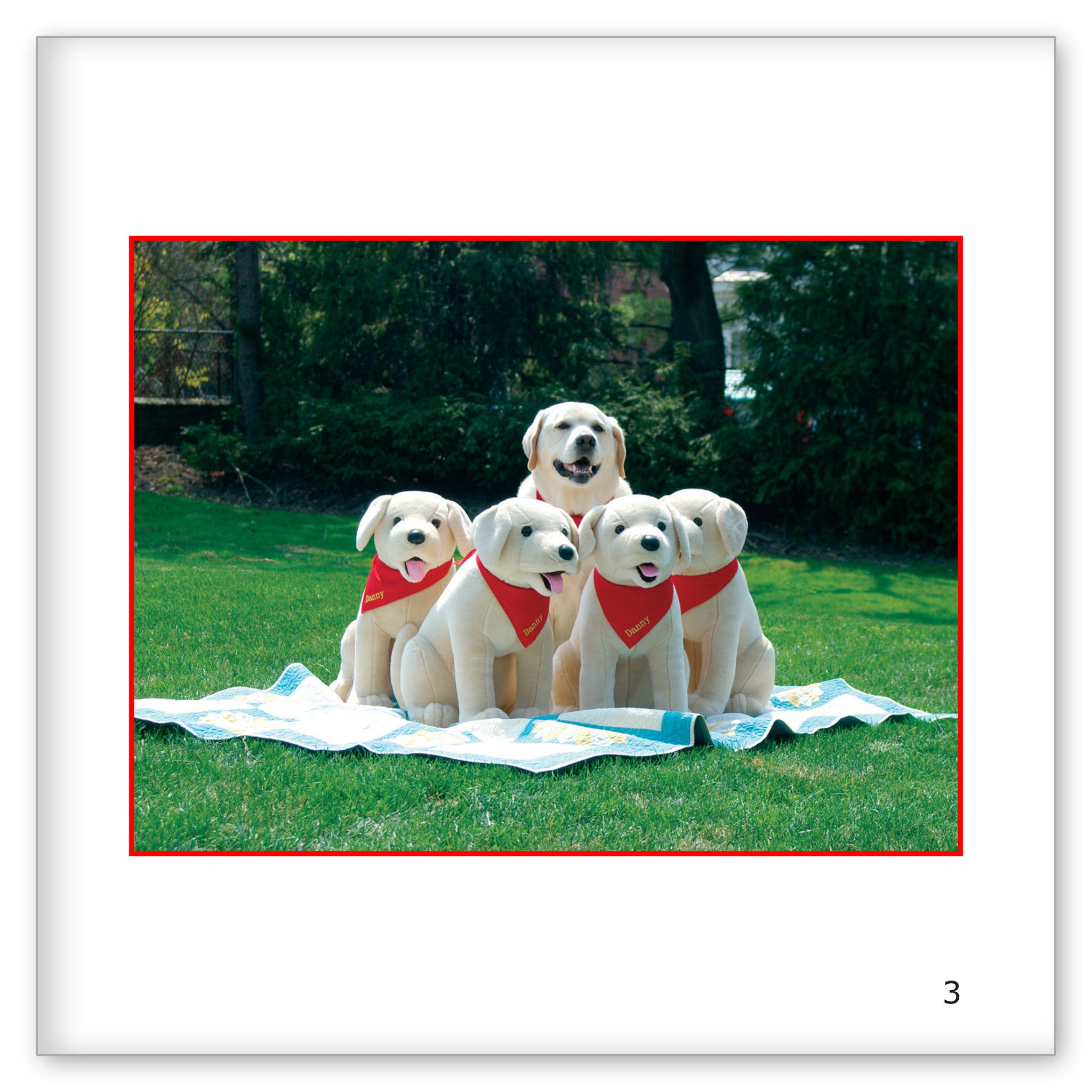 Five Danny Dogs