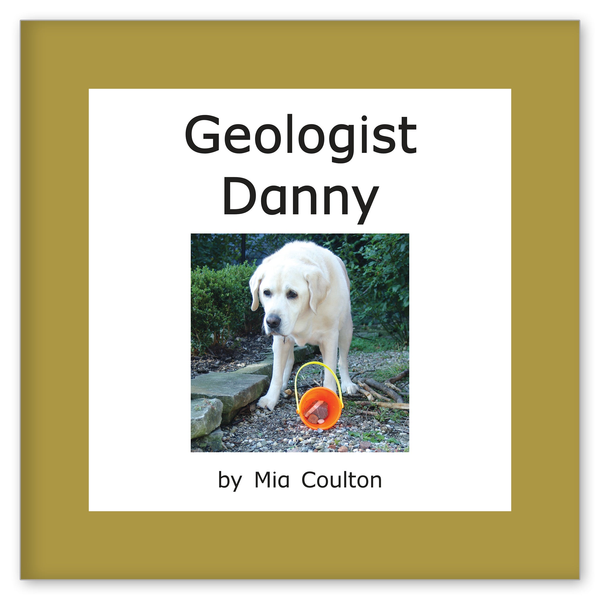 Geologist Danny from Scientist Danny Set