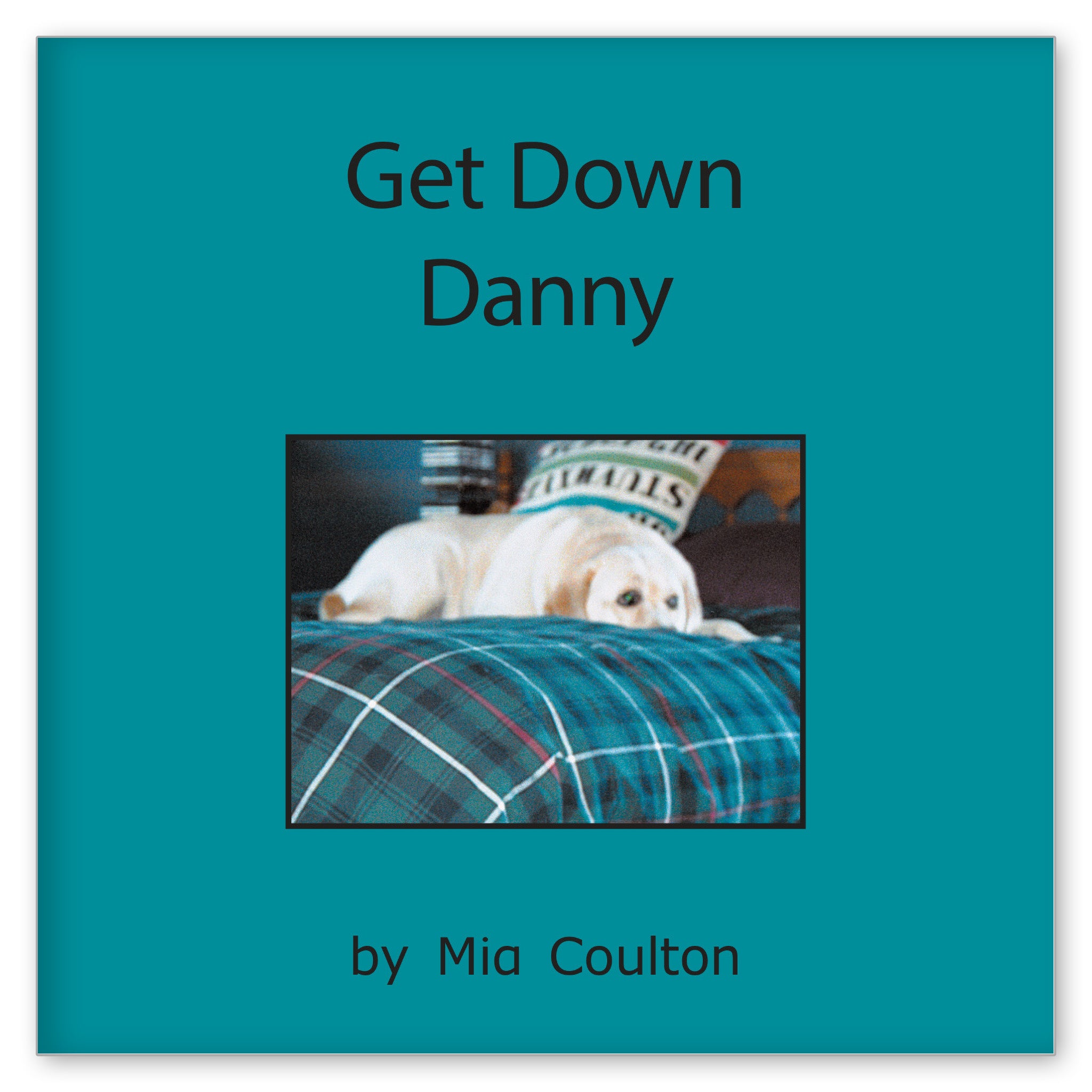 Get Down Danny from Meet Danny