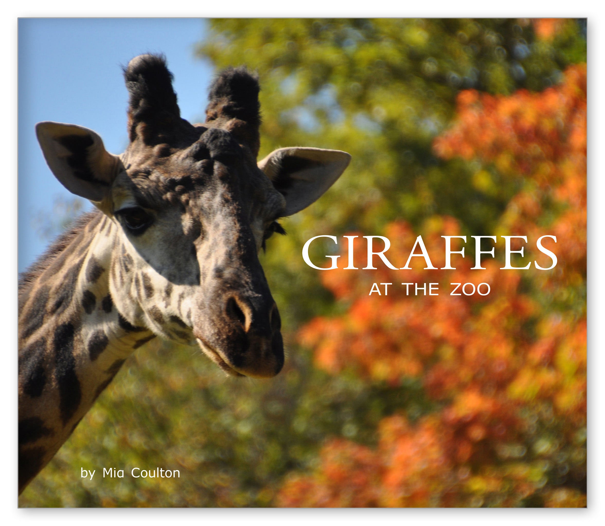 Giraffes at the Zoo from At the Zoo
