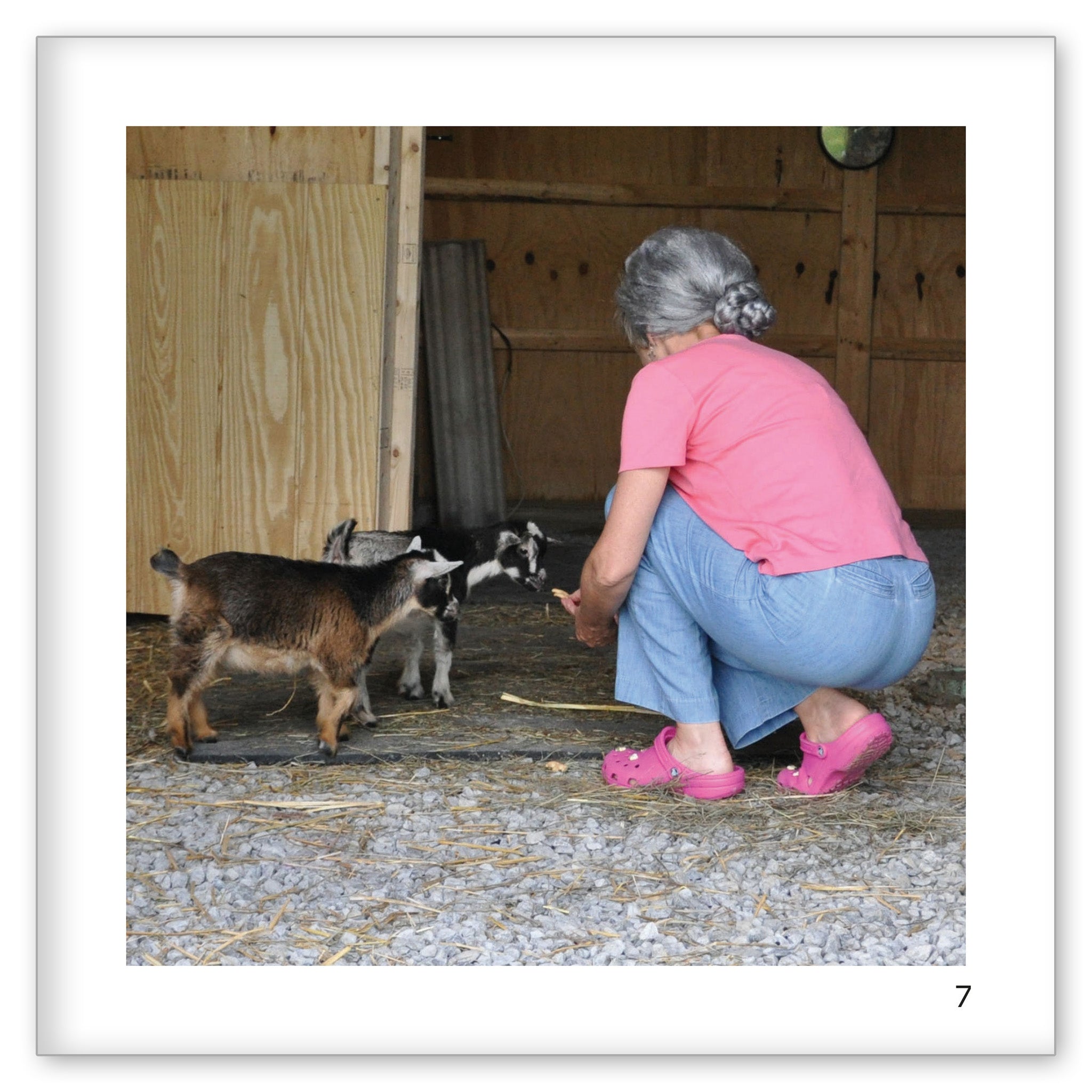 Grandma Ruth Feeds Her Friends