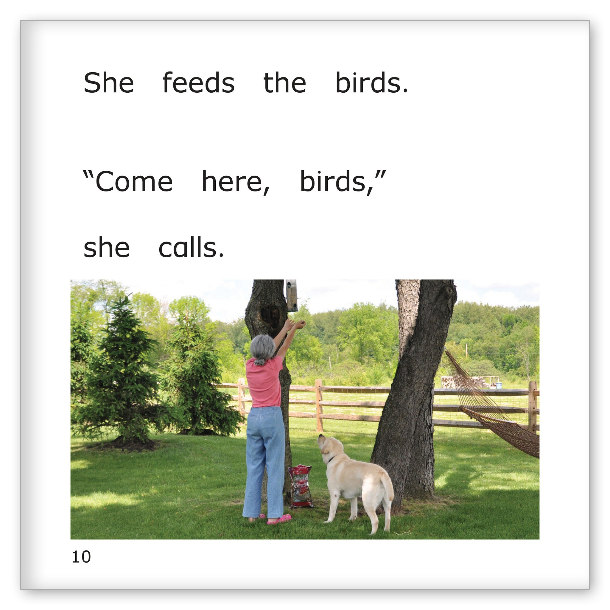 Grandma Ruth Feeds Her Friends