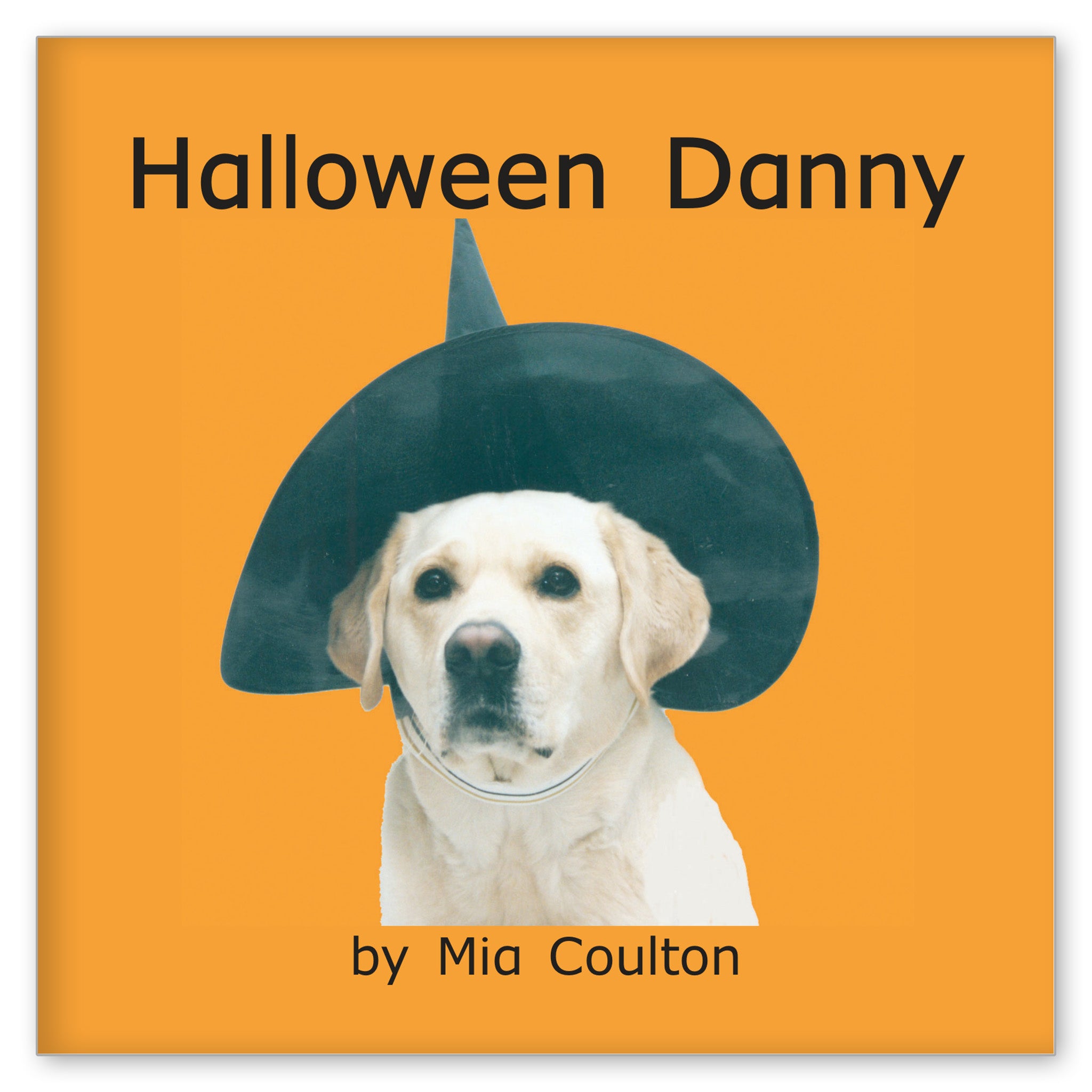 Halloween Danny from Get to Know Danny