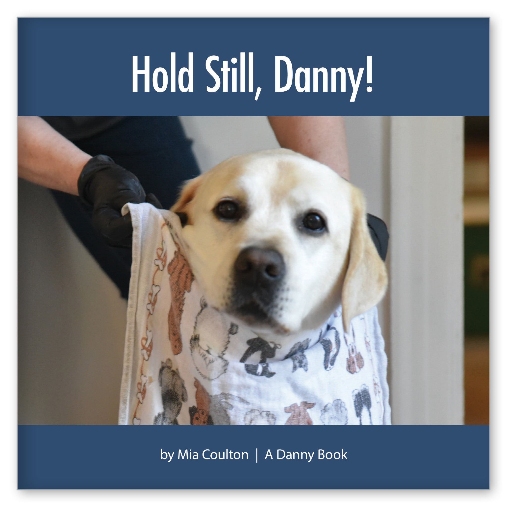 Hold Still, Danny! from Lucky Danny