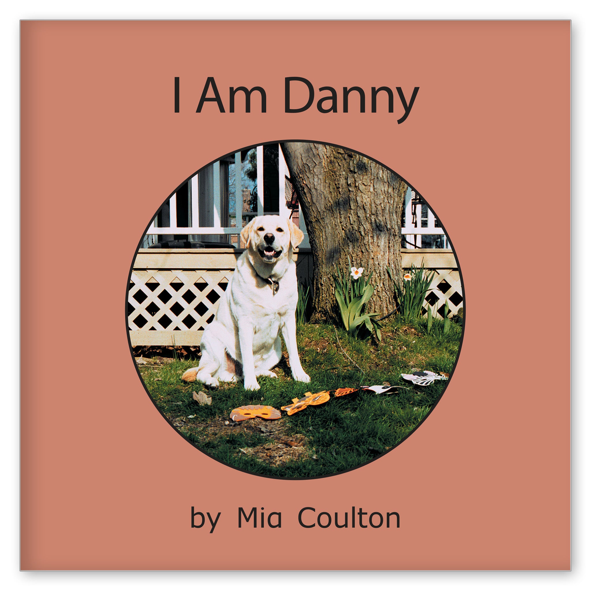 I Am Danny from Meet Danny