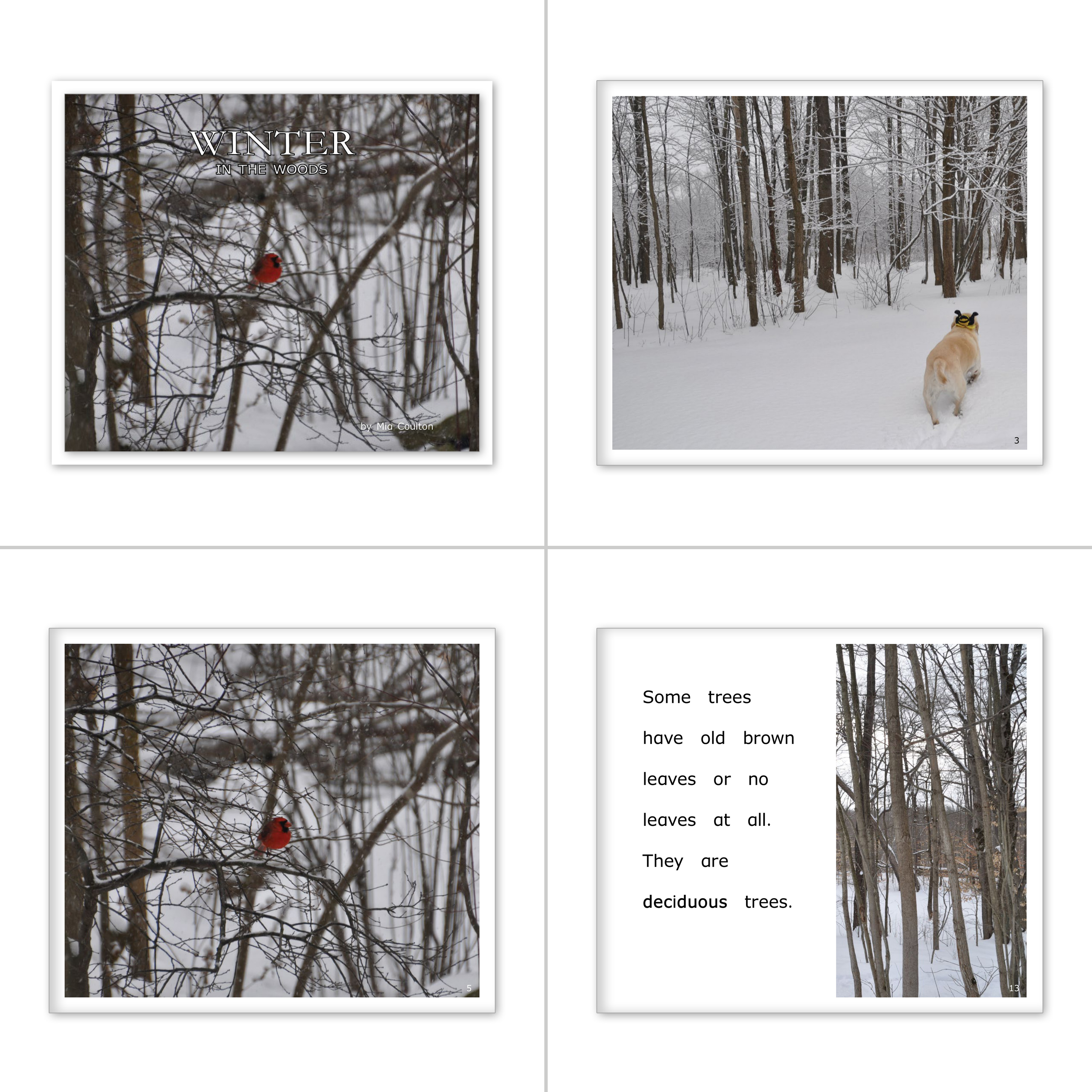 In the Woods with Danny and Bee Set