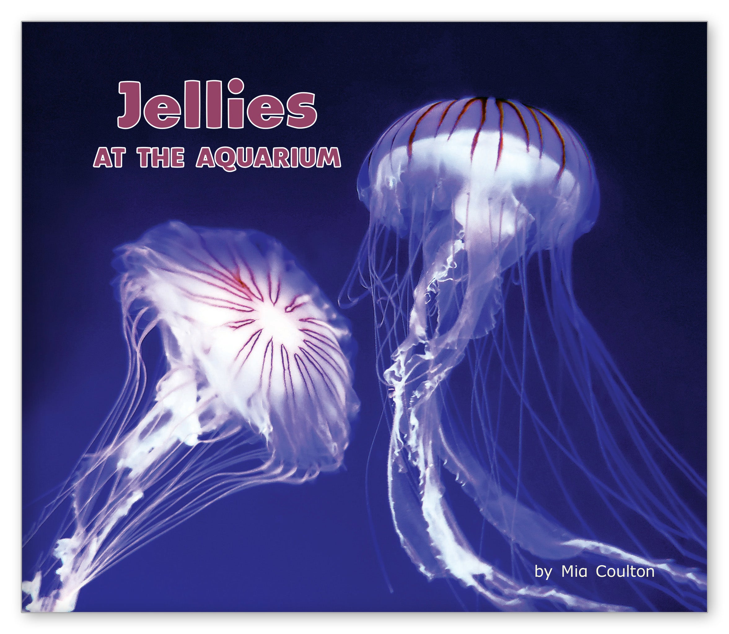Jellies at the Aquarium from At the Aquarium