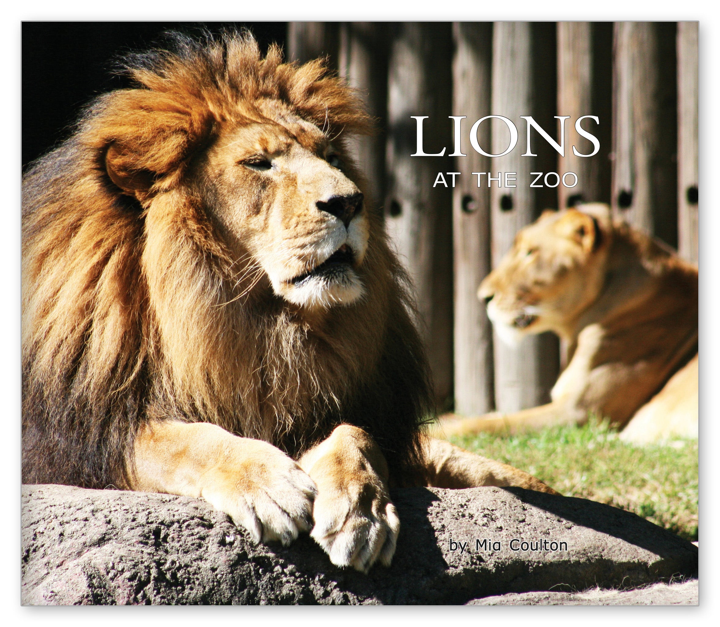 Lions at the Zoo from At the Zoo