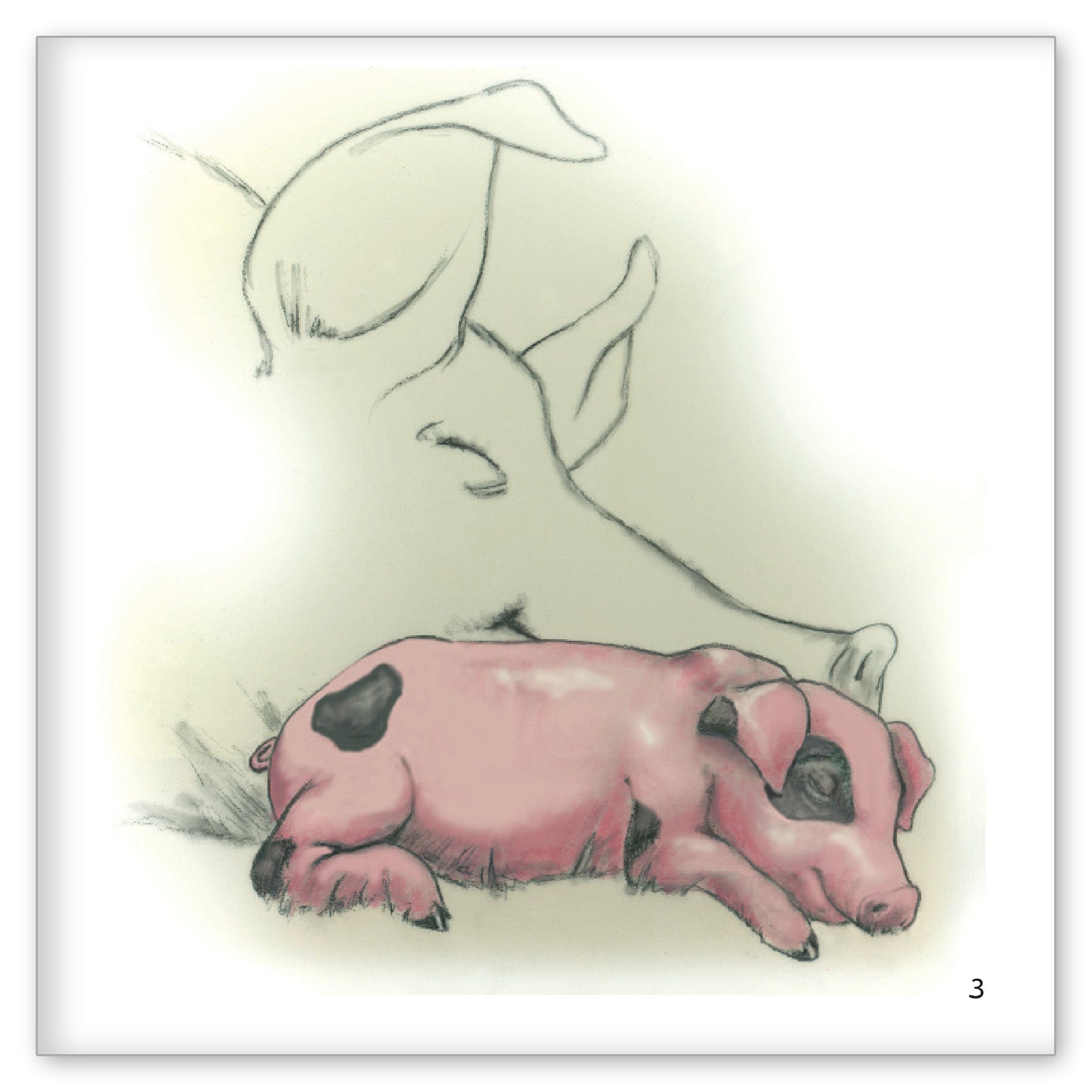 Little Pig