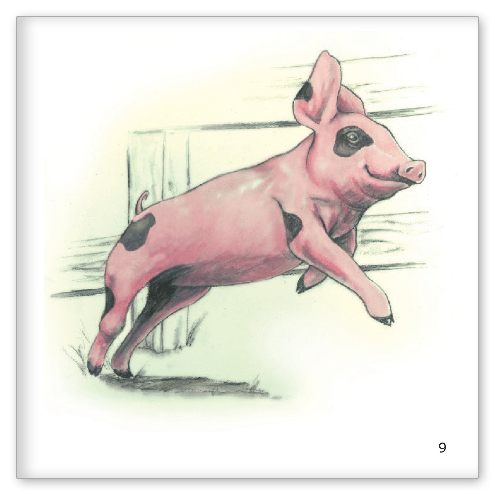 Little Pig