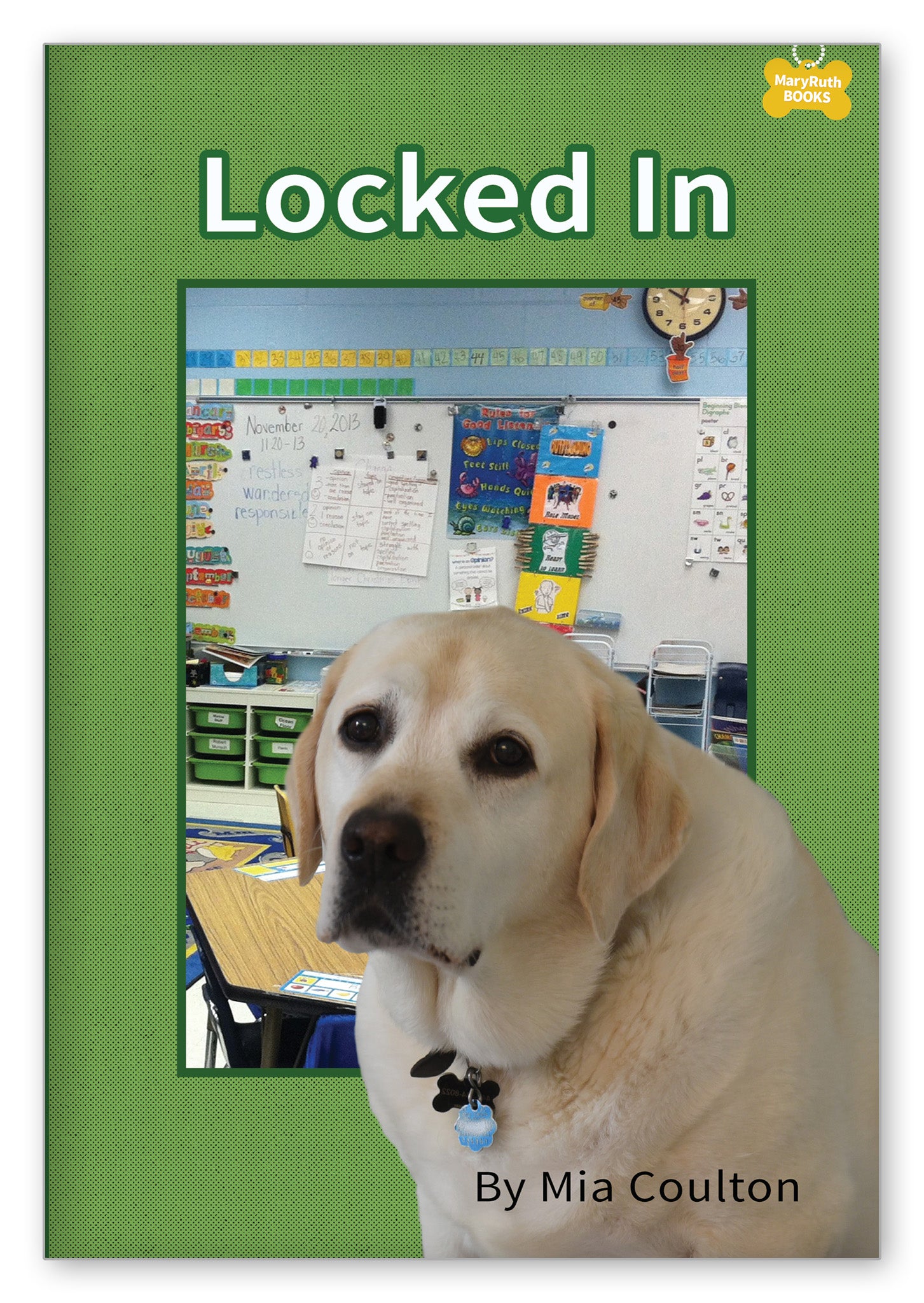 Locked In from Danny's Big Adventure Chapter Books