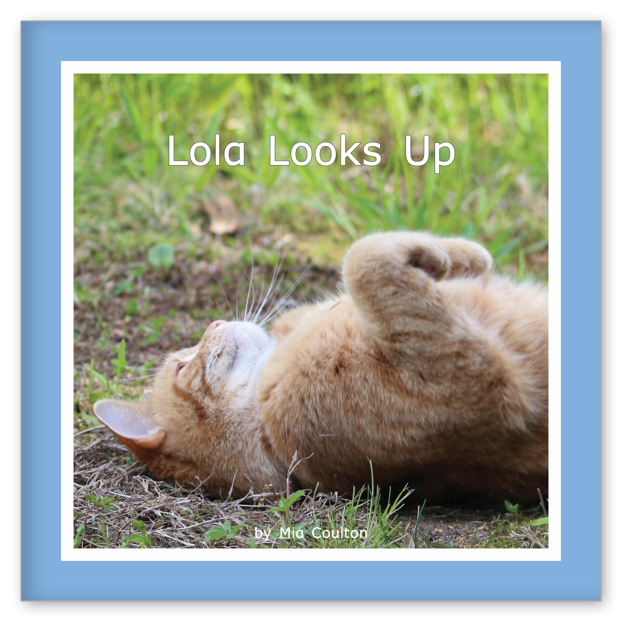 Lola Looks Up from Her Name is Lola