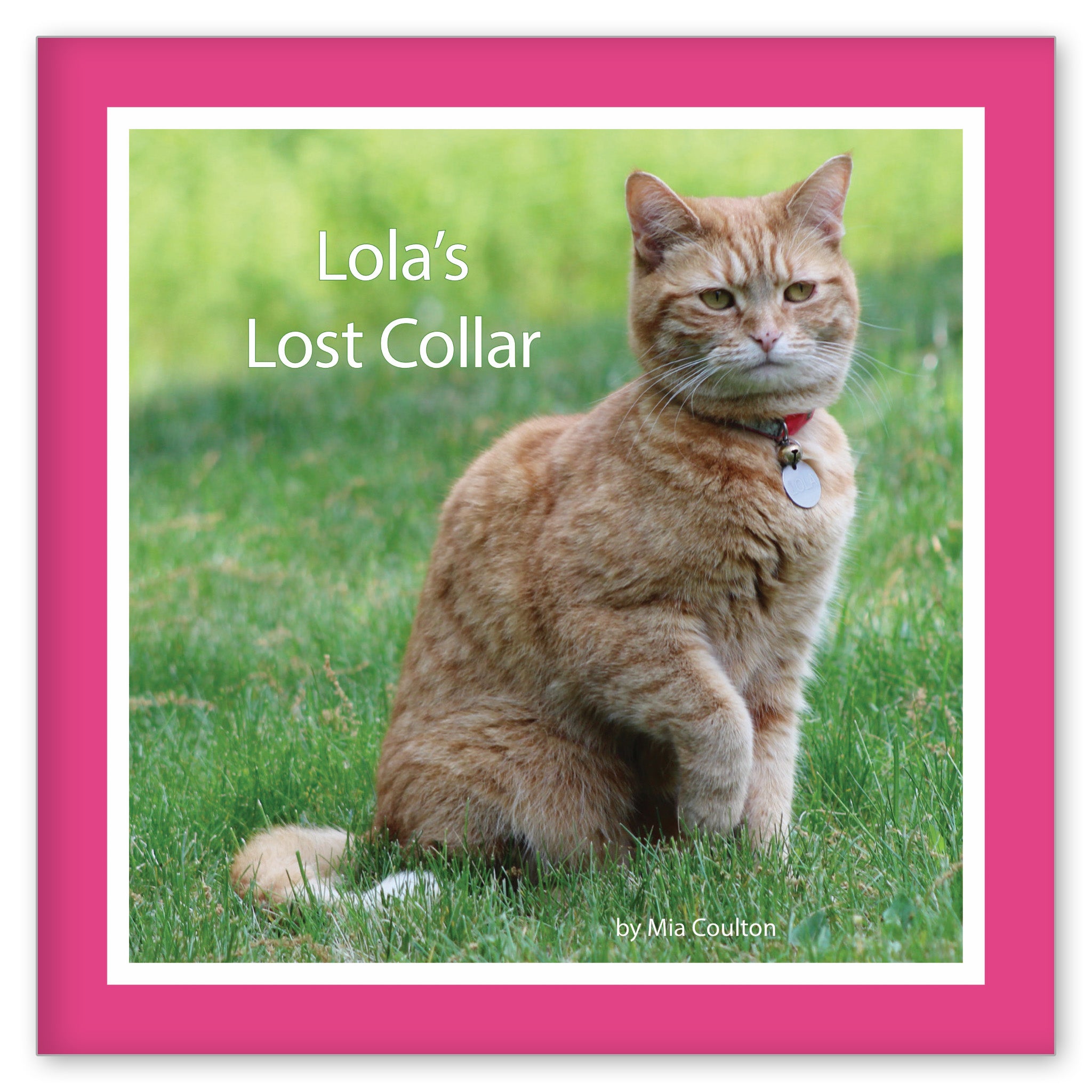 Lola's Lost Collar from Her Name is Lola