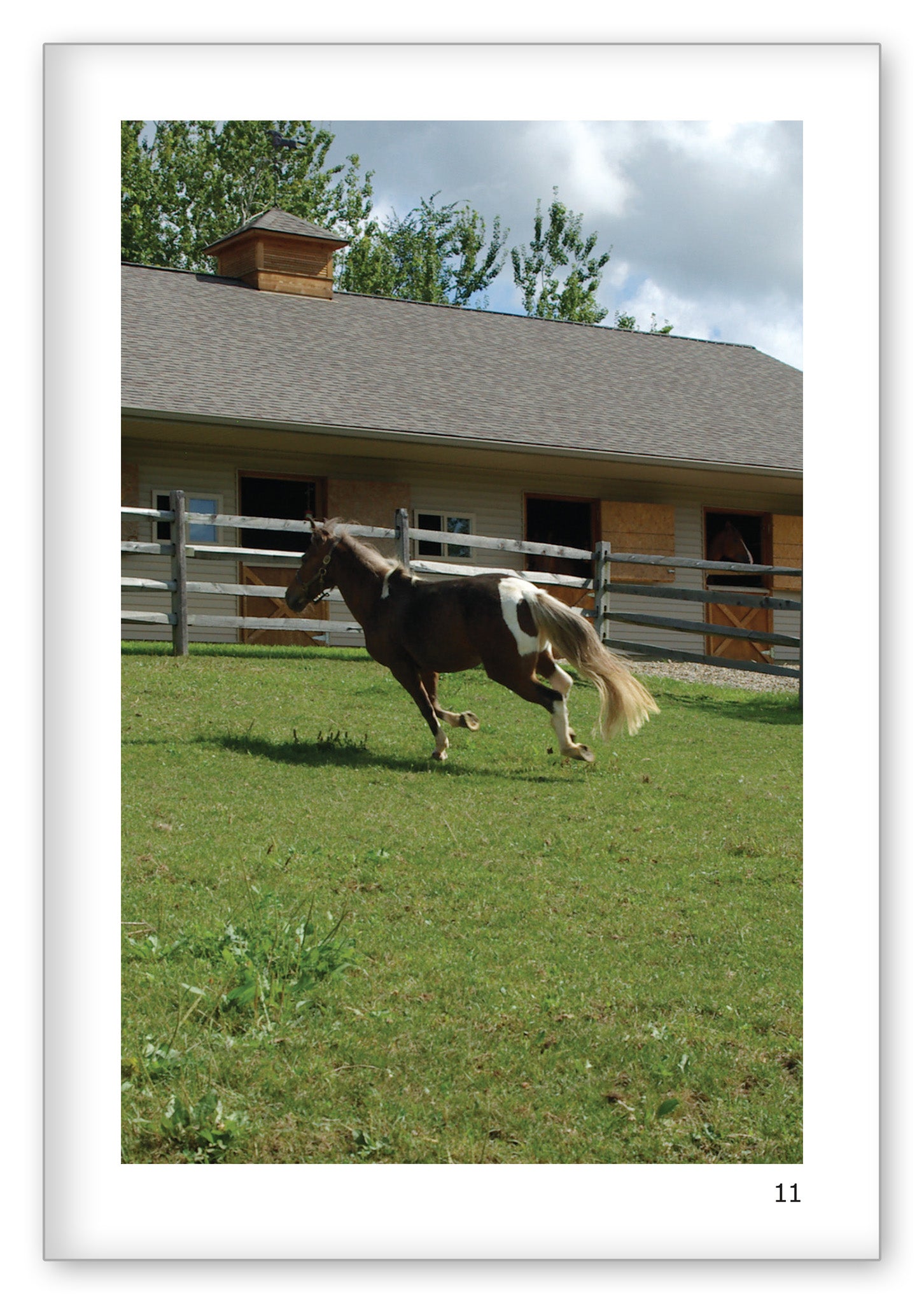 Looking for a Pony