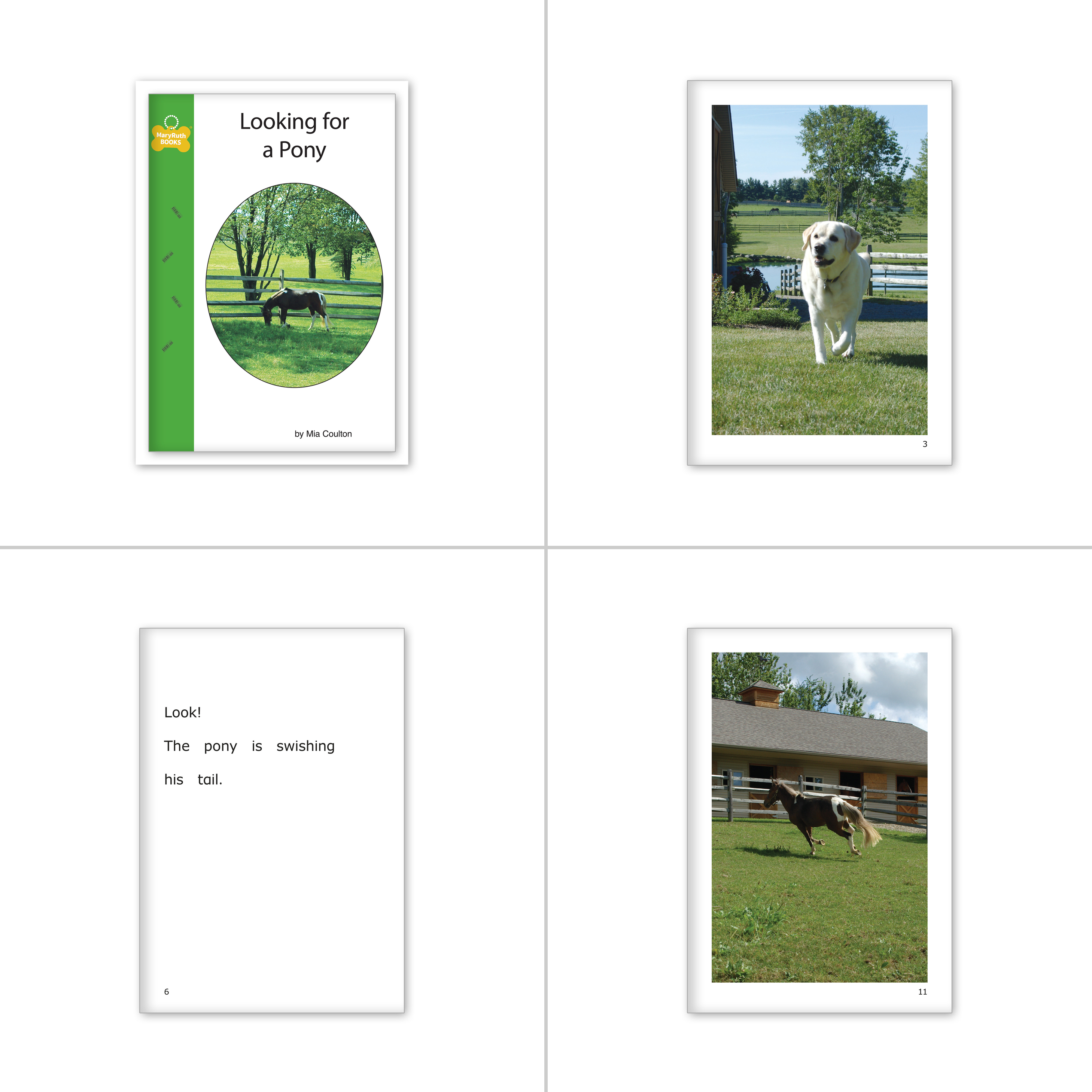 Lucky the Pony Stories Set