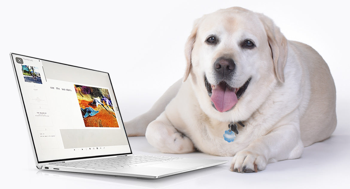 eBook Membership