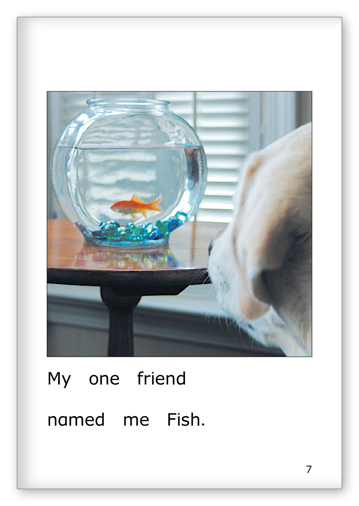 More Fish for Fish