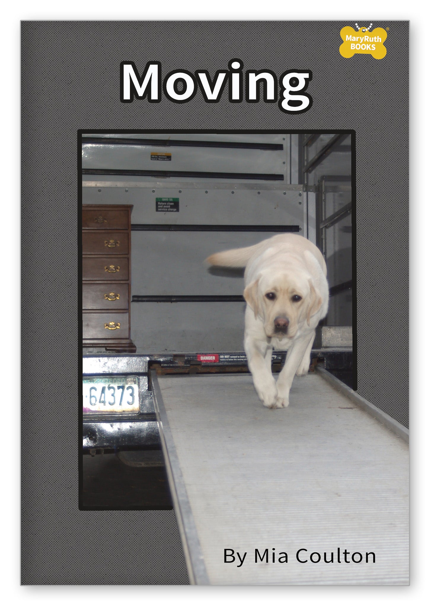 Moving from Danny's Big Adventure Chapter Books