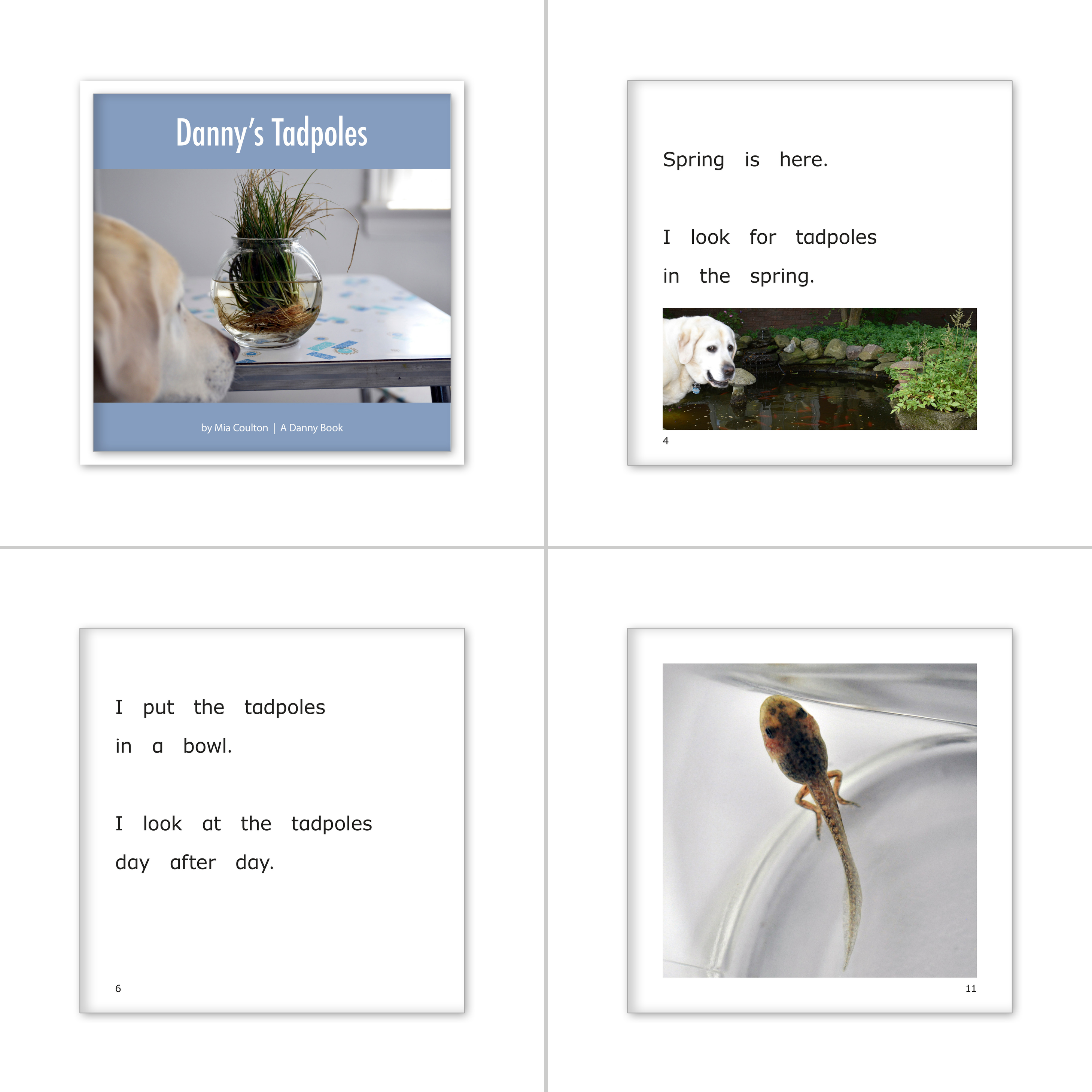 MRB Emergent Reading Set D-E