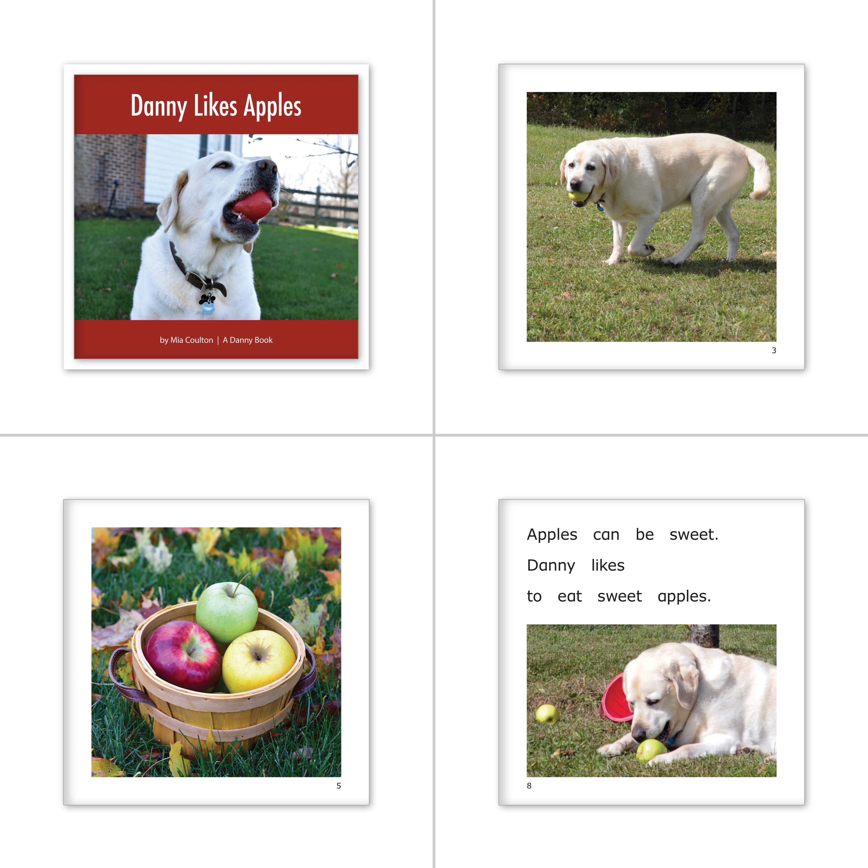 MRB Emergent Reading Set D-E