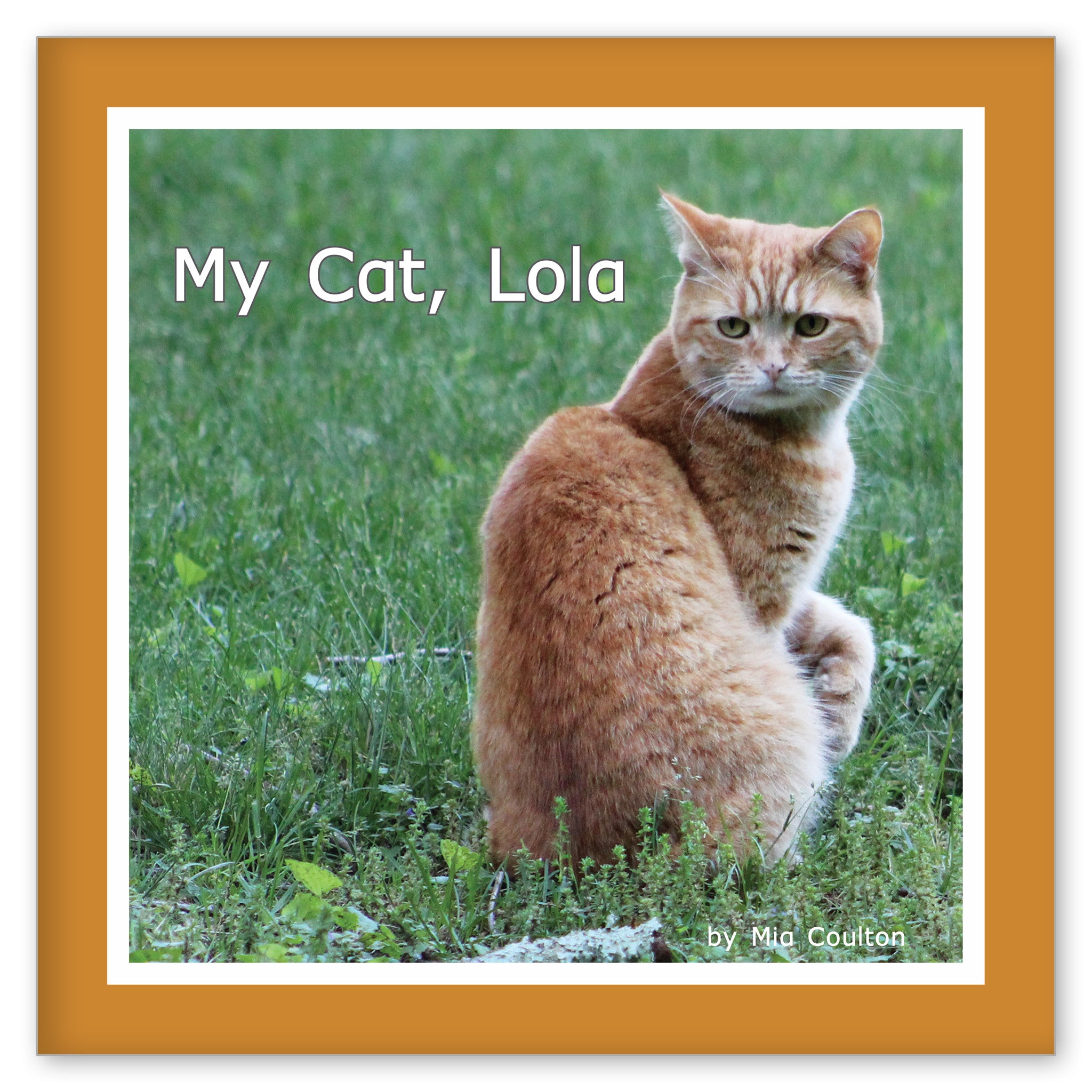 My Cat, Lola from Her Name is Lola