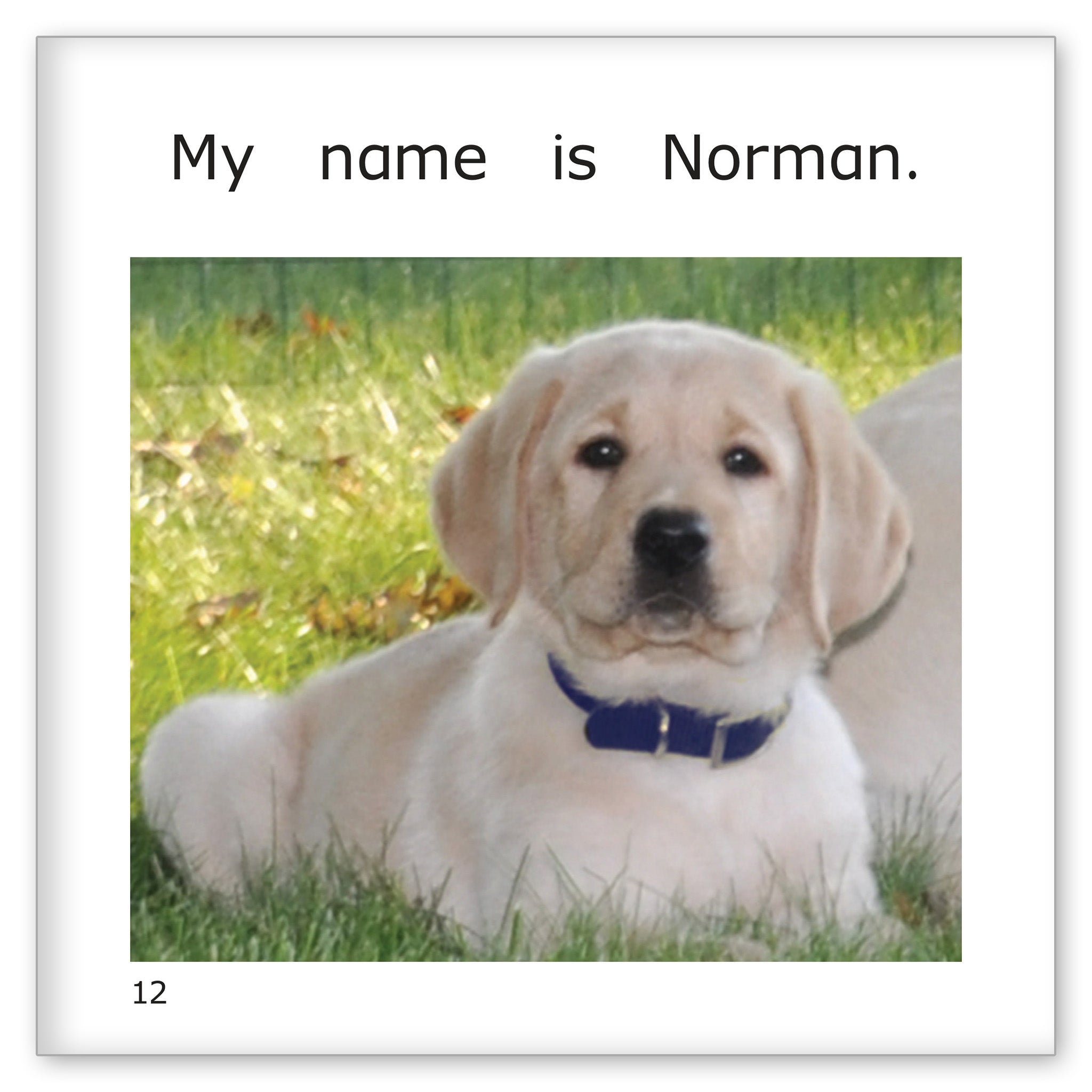 My Name is Norman