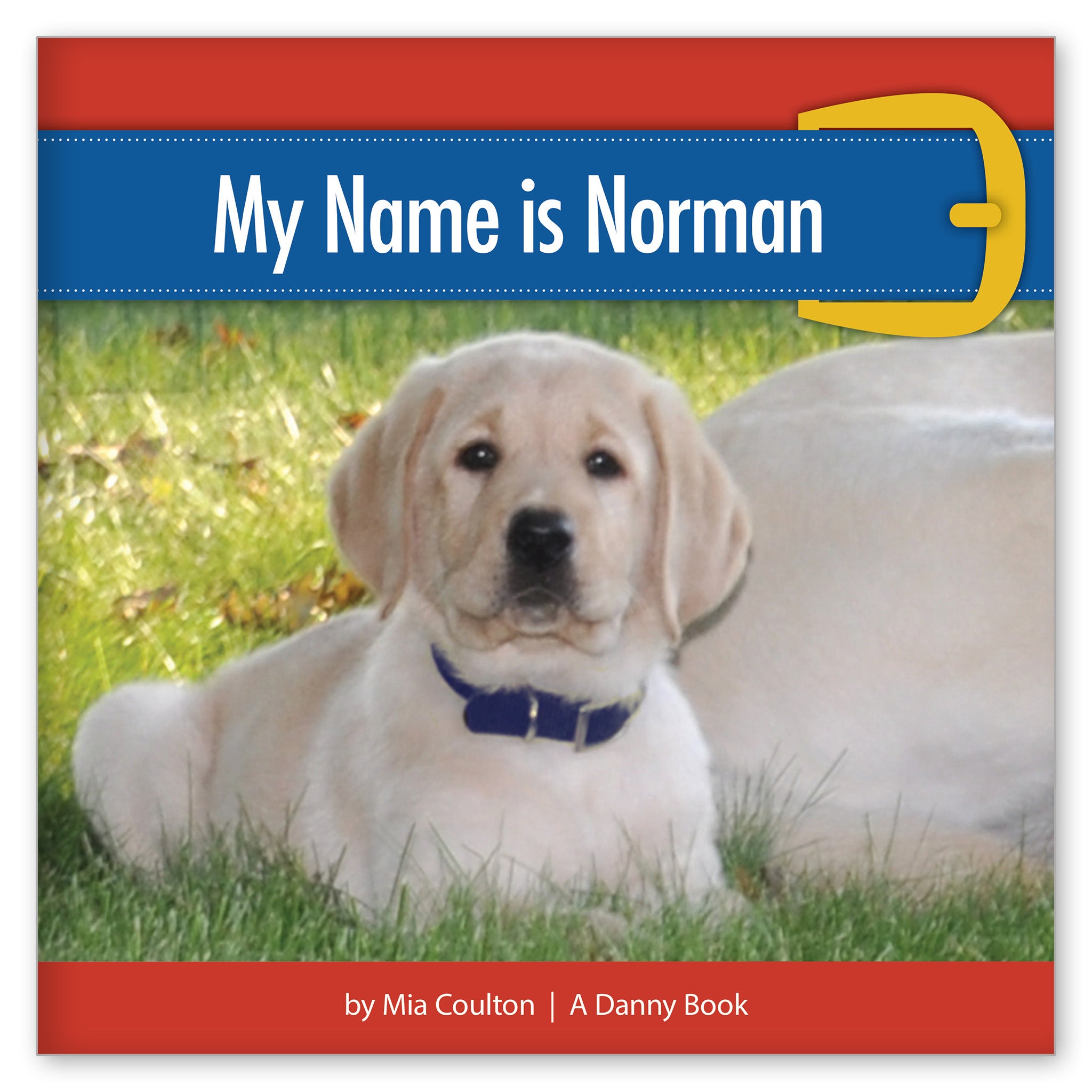 My Name is Norman from Here Comes Norman