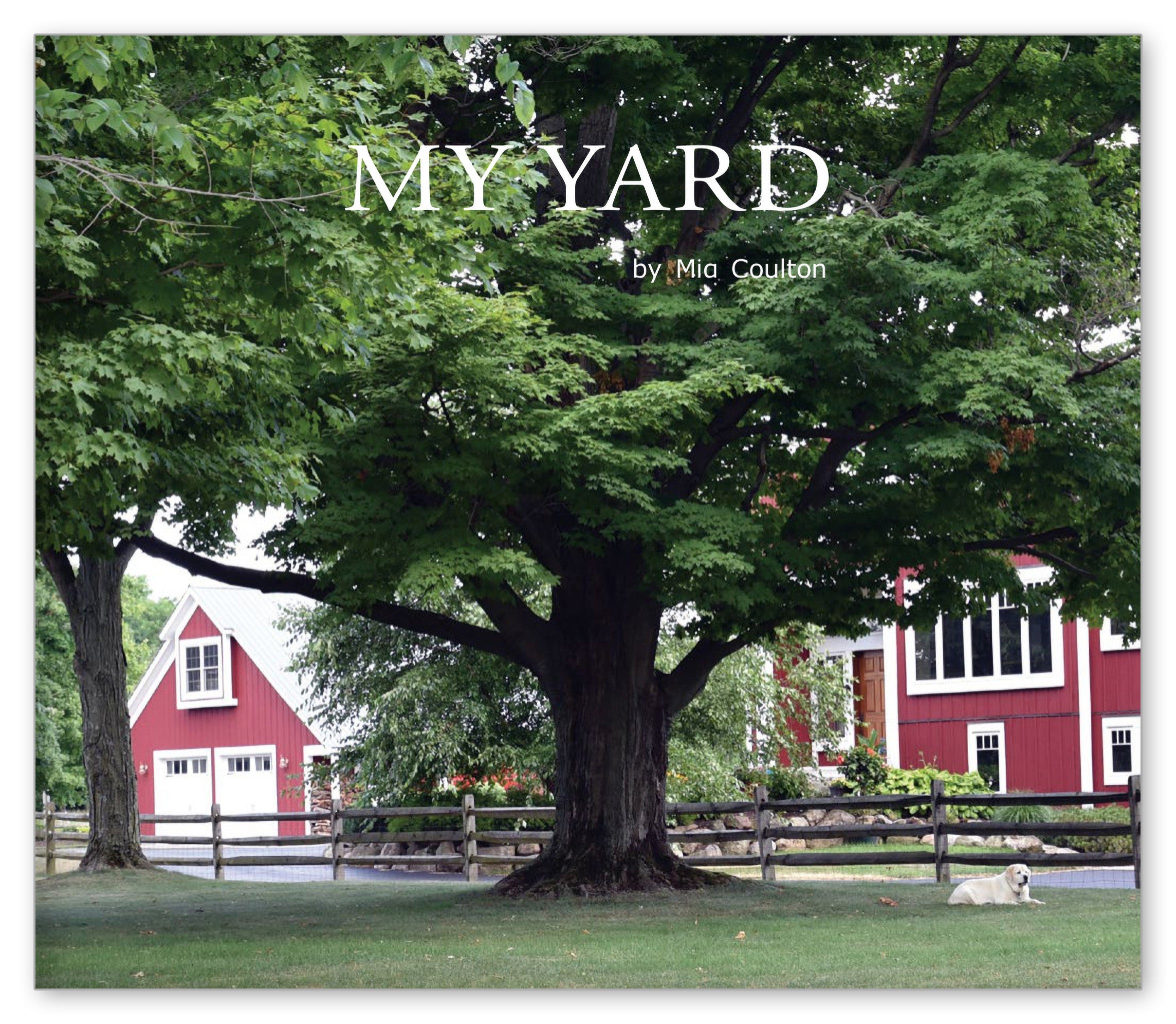 My Yard from Let's Explore