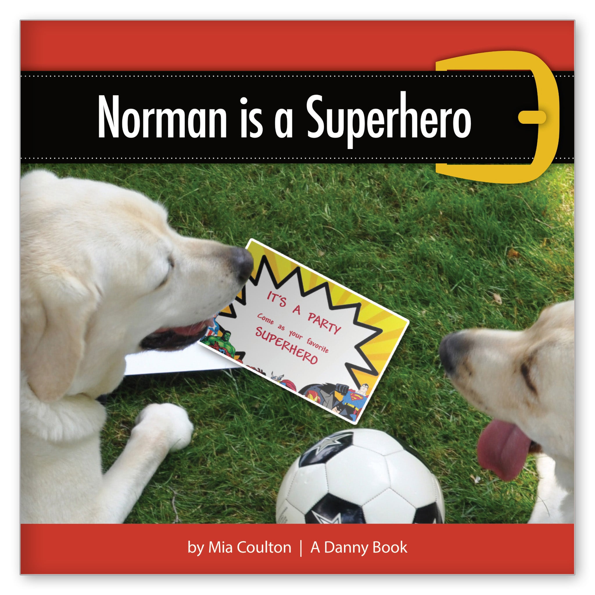 Norman is a Superhero from Danny by the Dozen