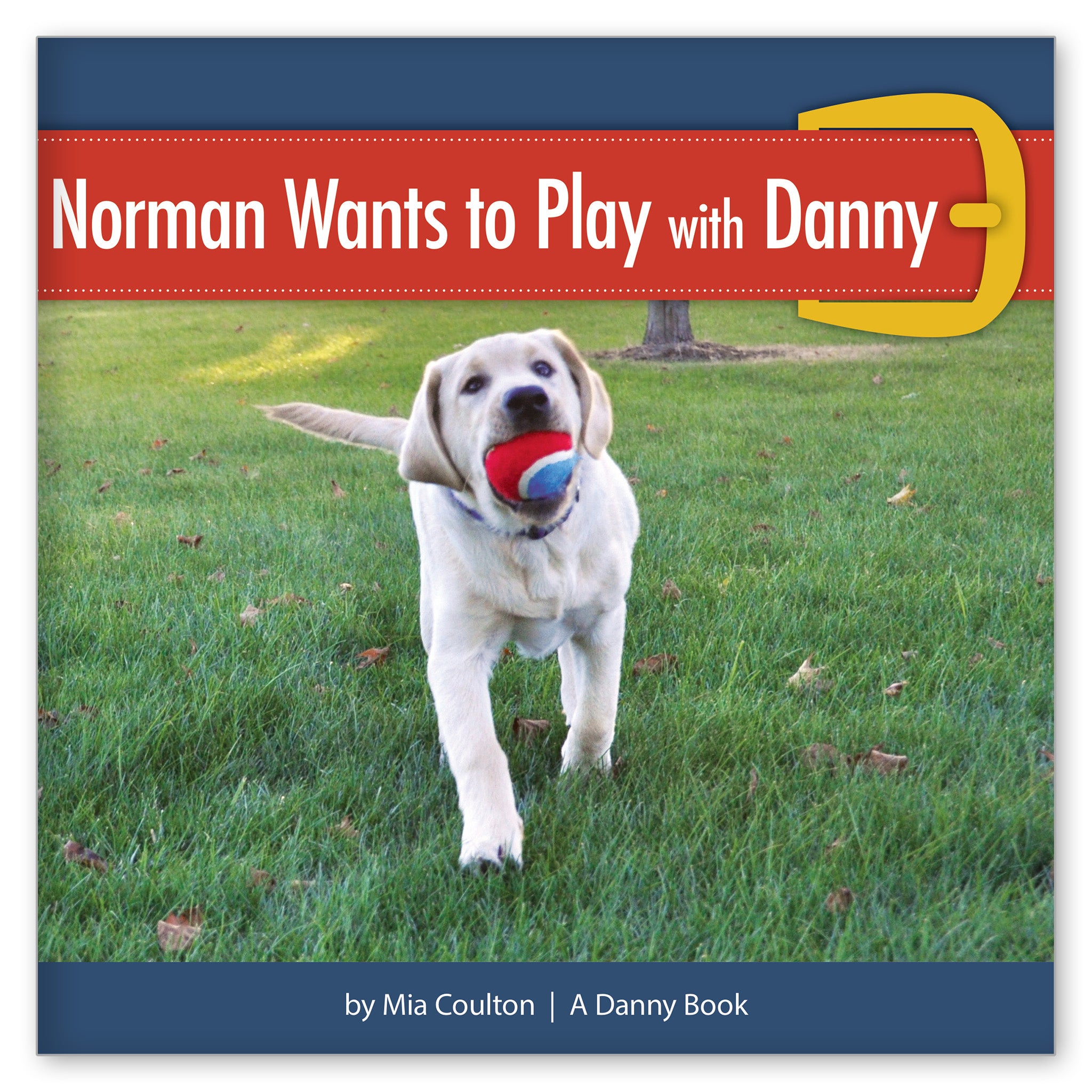 Norman Wants to Play with Danny from Here Comes Norman