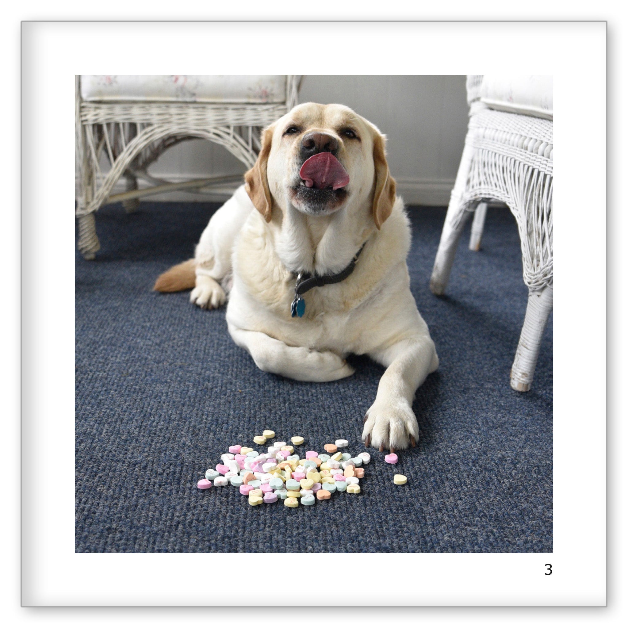 Norman's Candy Hearts