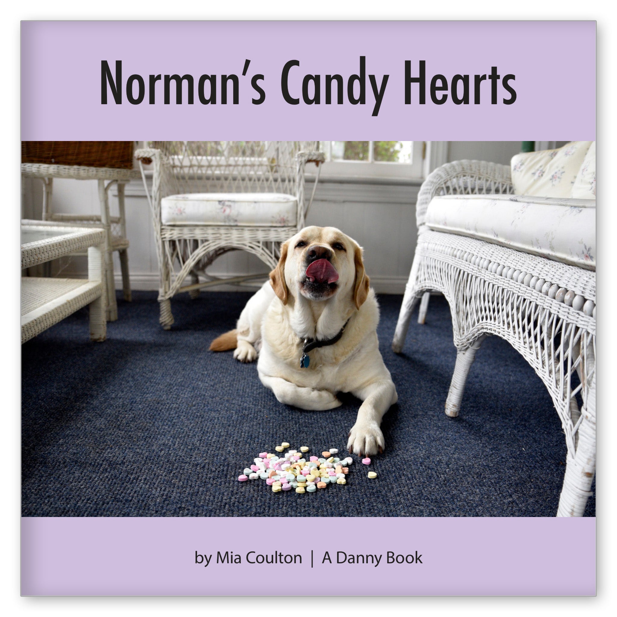 Norman's Candy Hearts from I Dream of Danny