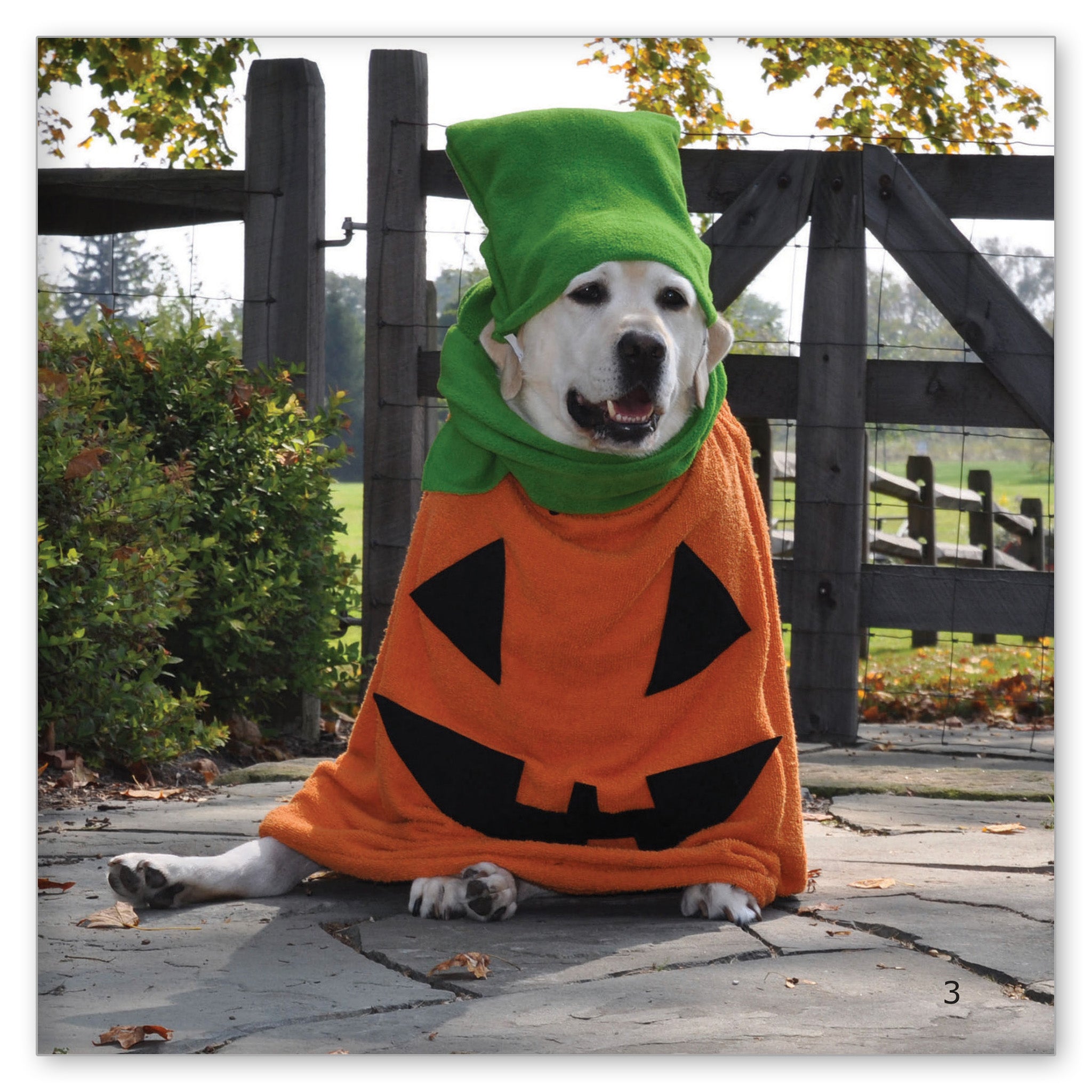 Norman's First Halloween
