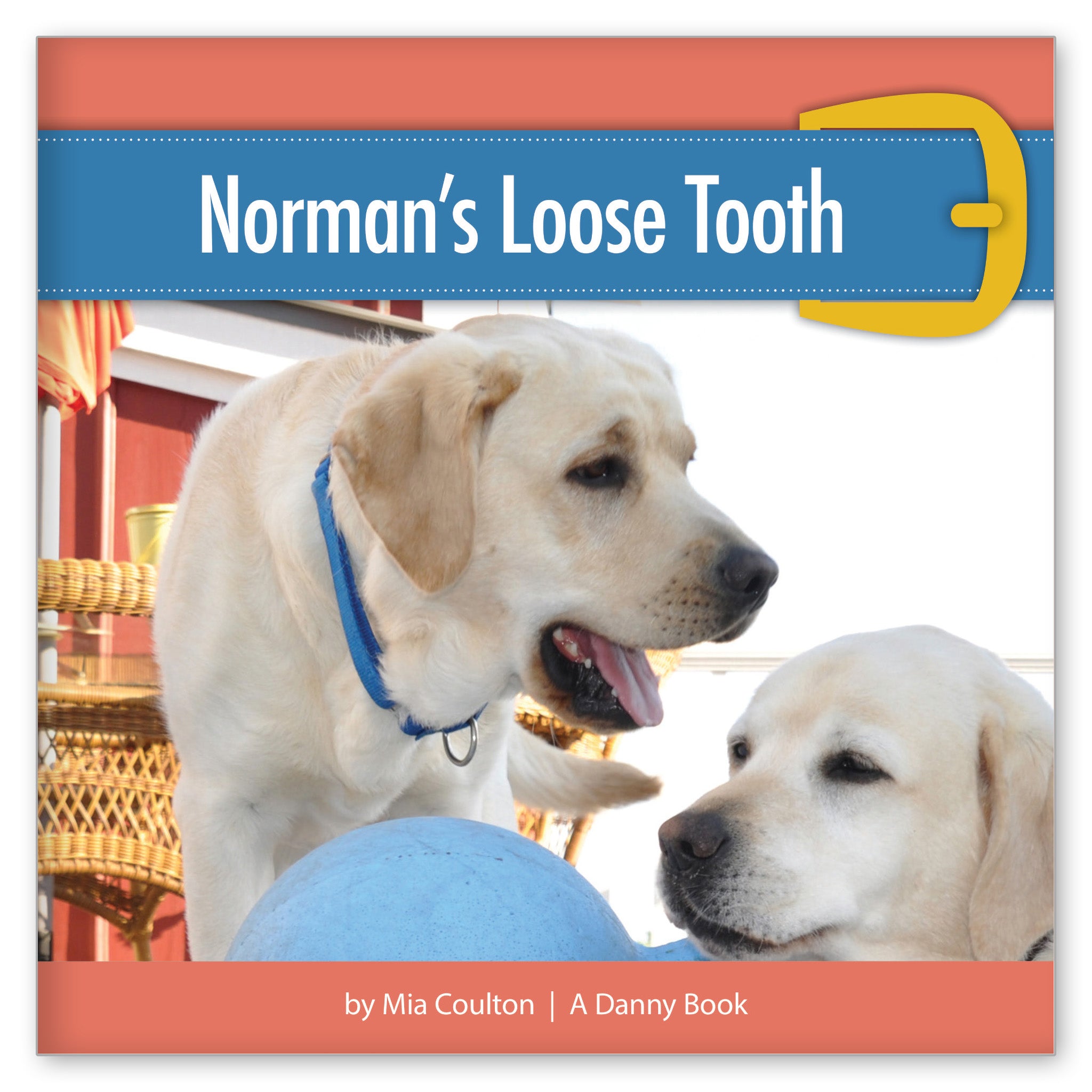 Norman's Loose Tooth from Danny by the Dozen