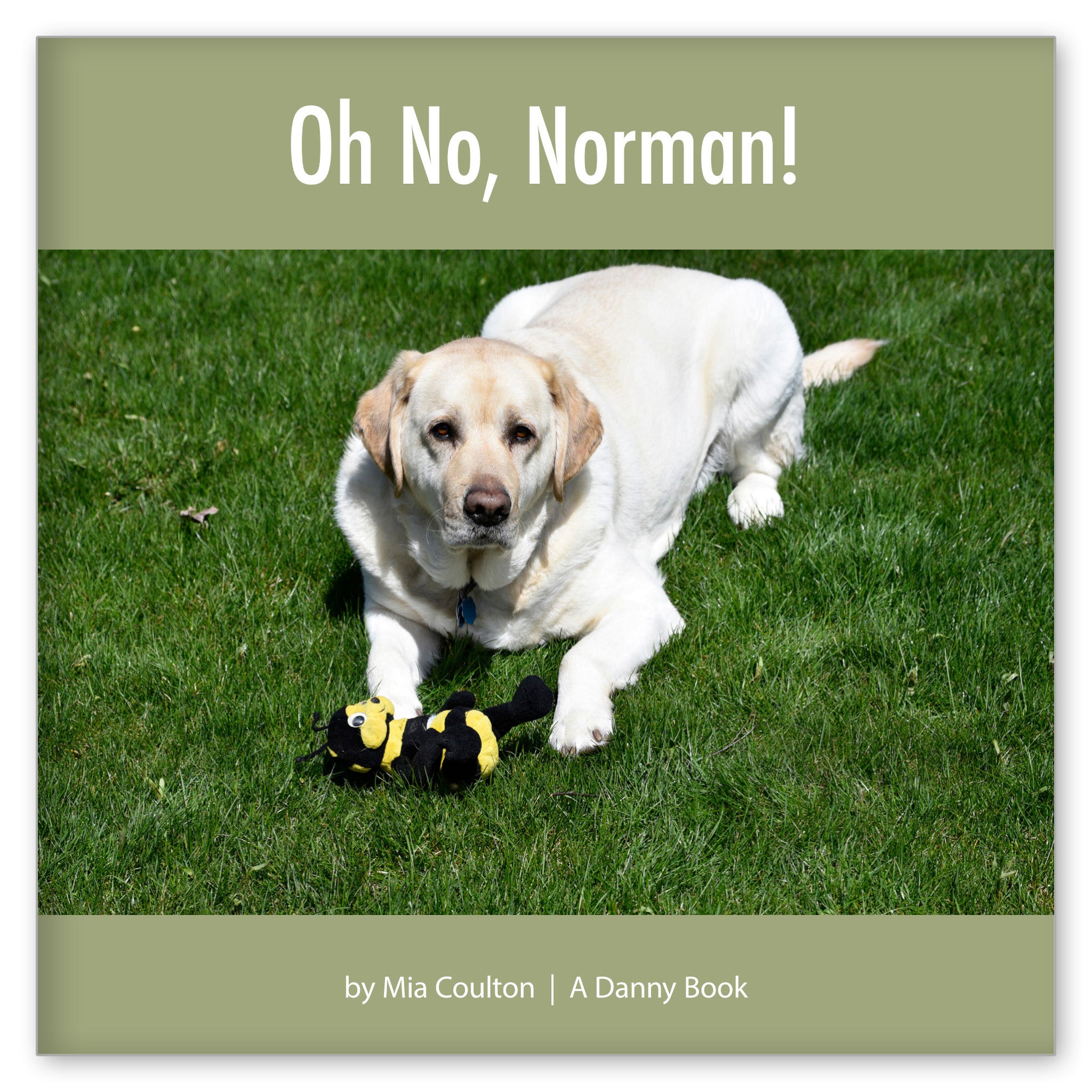 Oh No, Norman! from I Dream of Danny