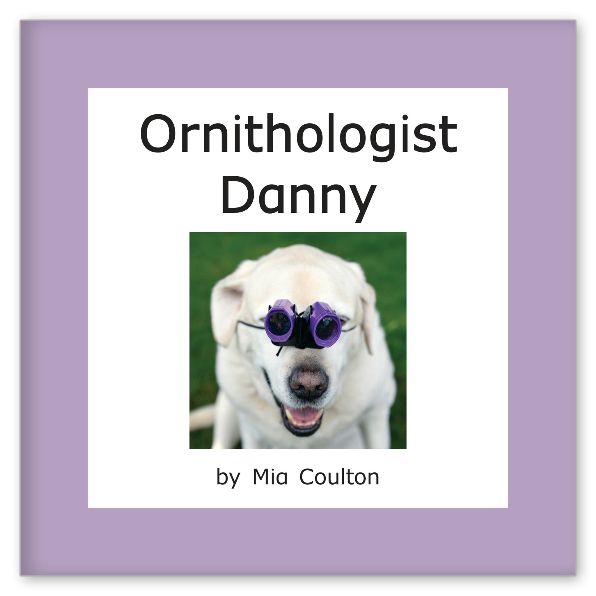 Ornithologist Danny from Scientist Danny Set