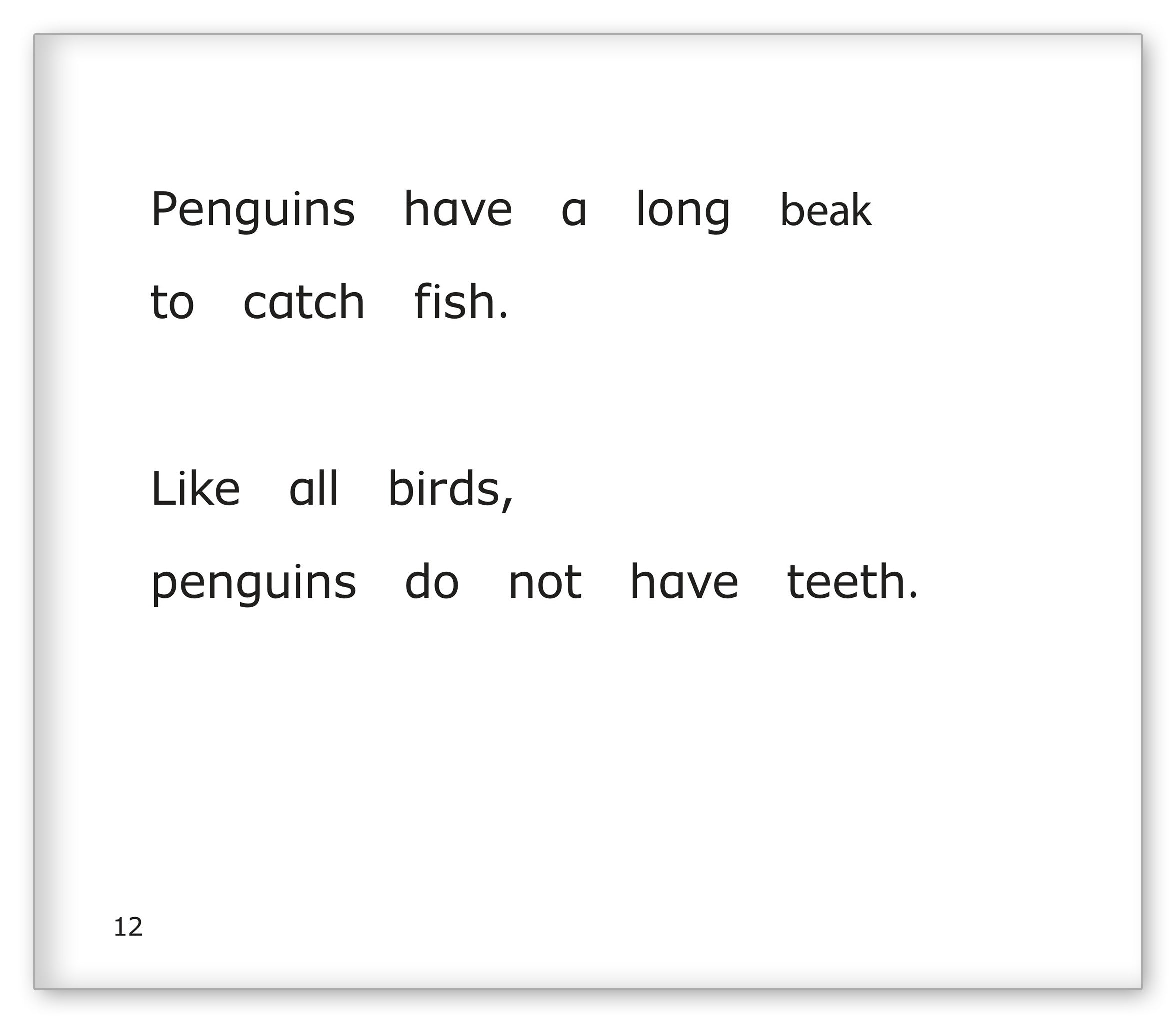 Penguins at the Zoo