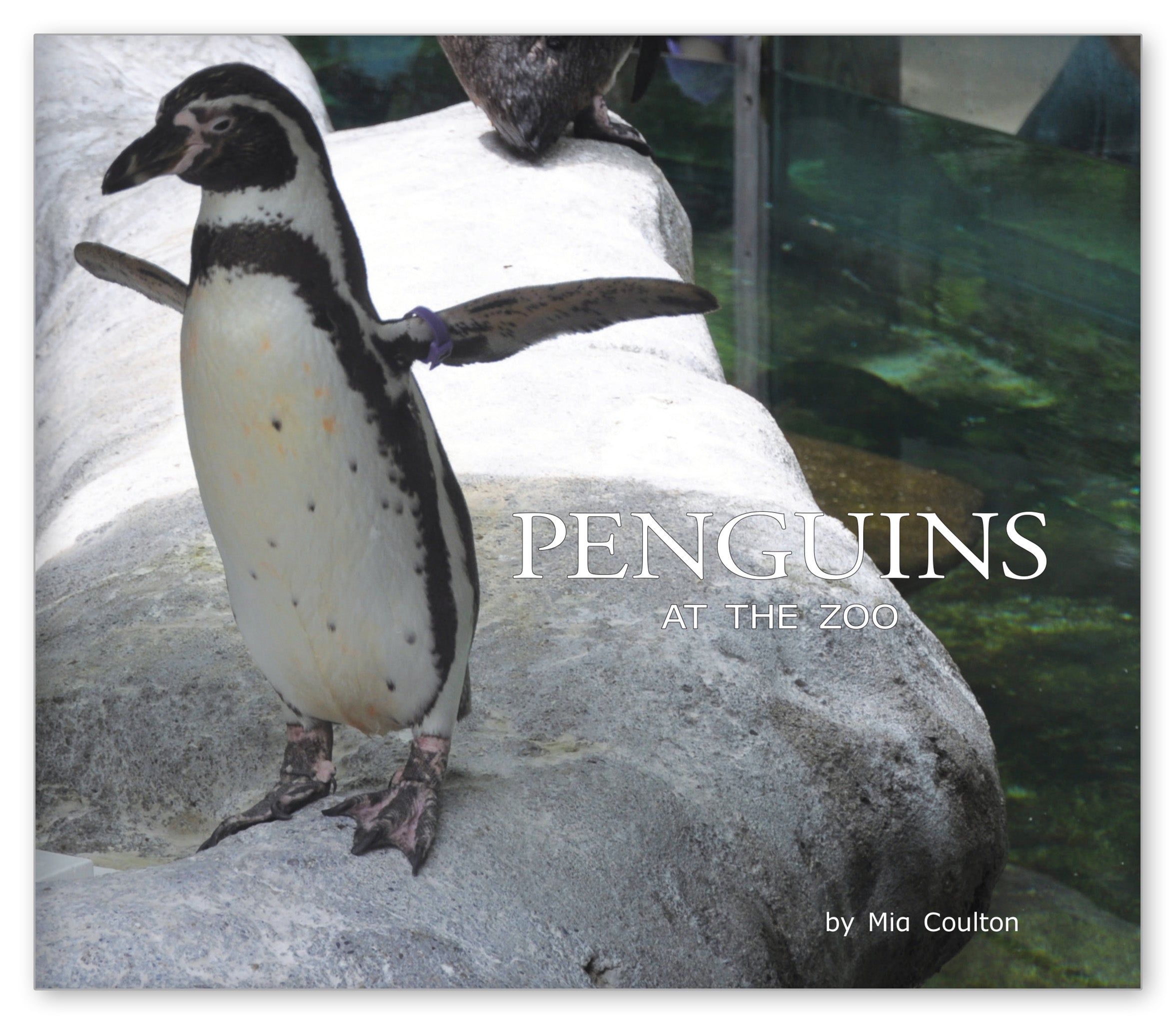 Penguins at the Zoo from At the Zoo