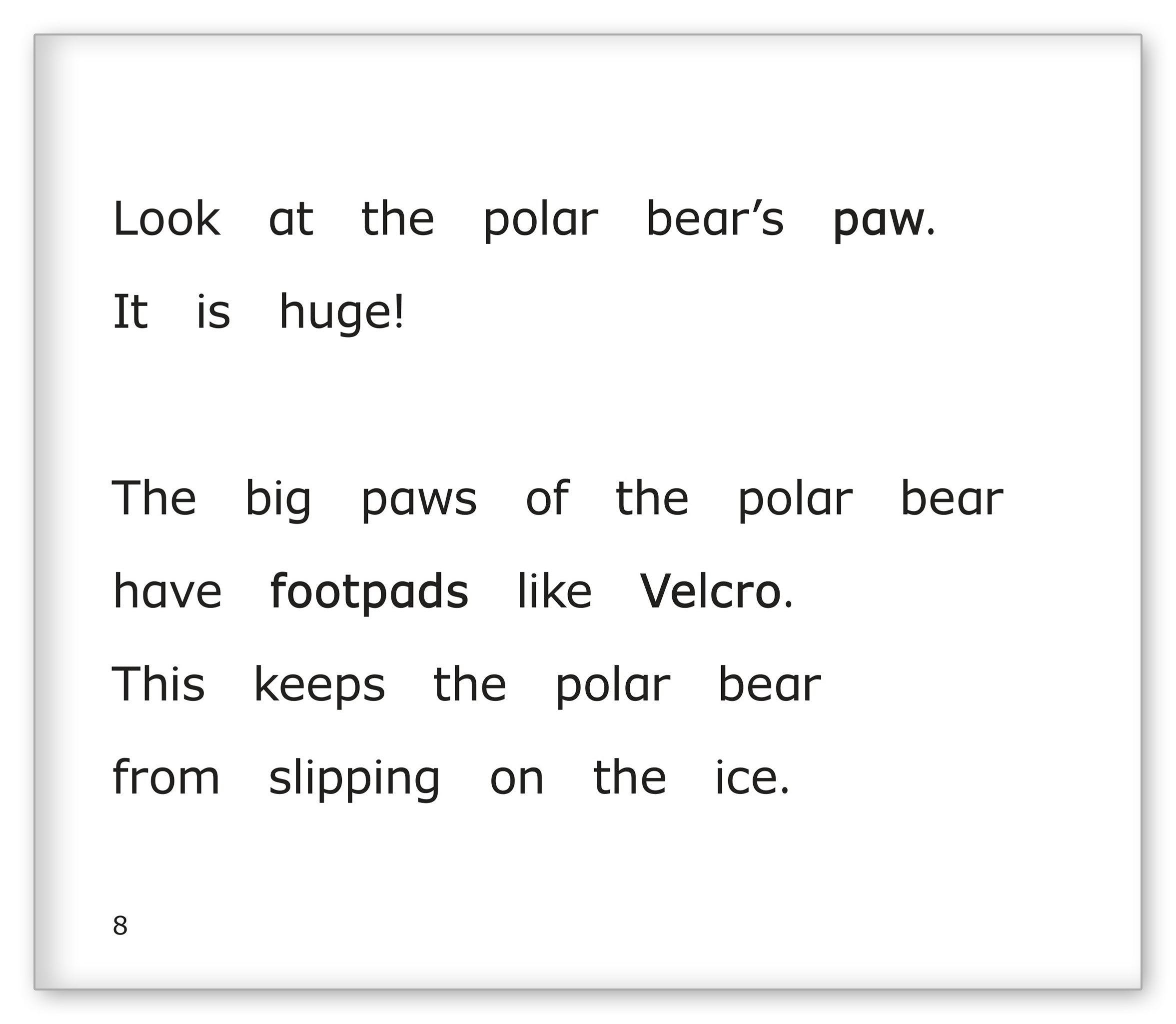 Polar Bears at the Zoo