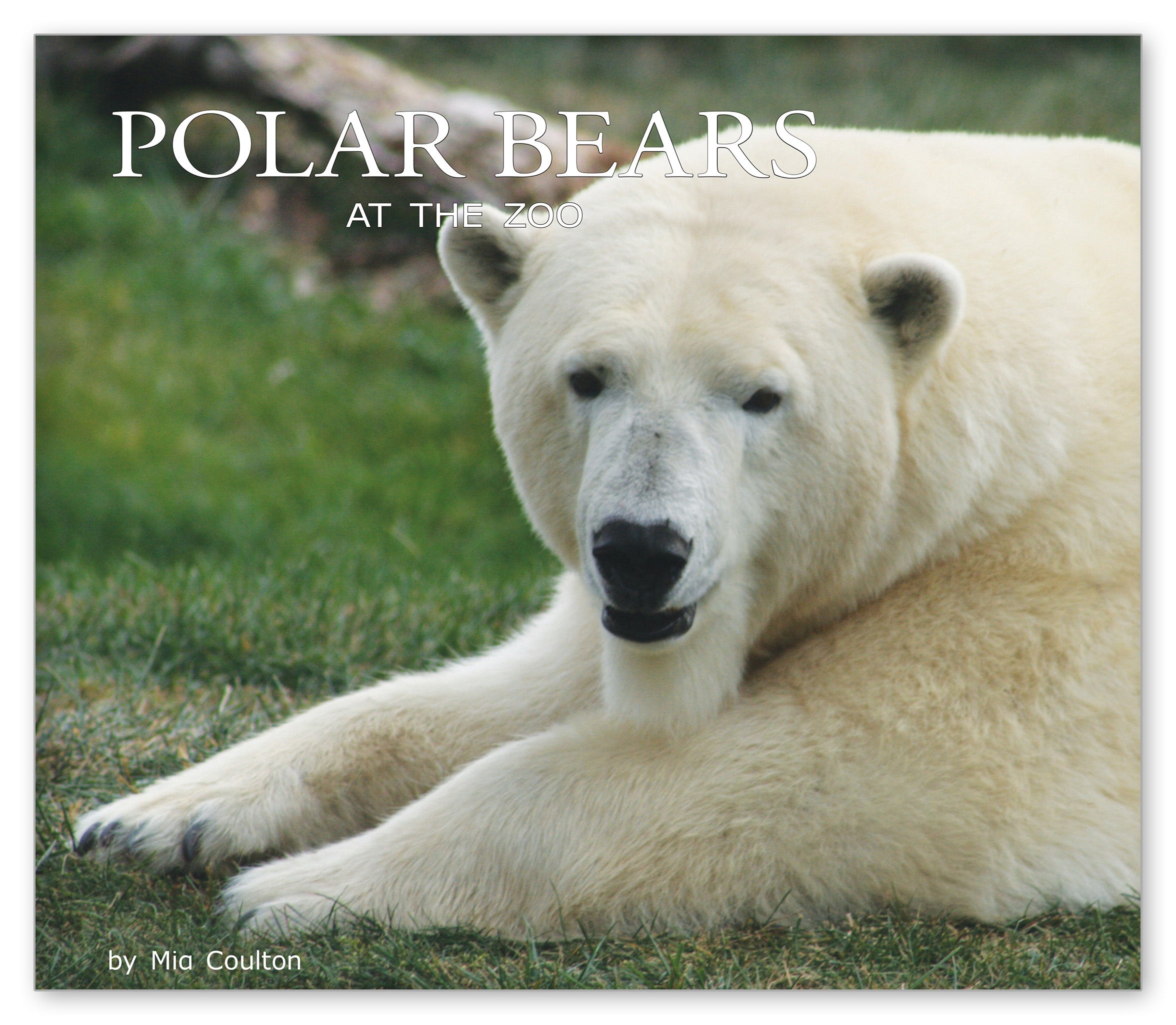 Polar Bears at the Zoo from At the Zoo