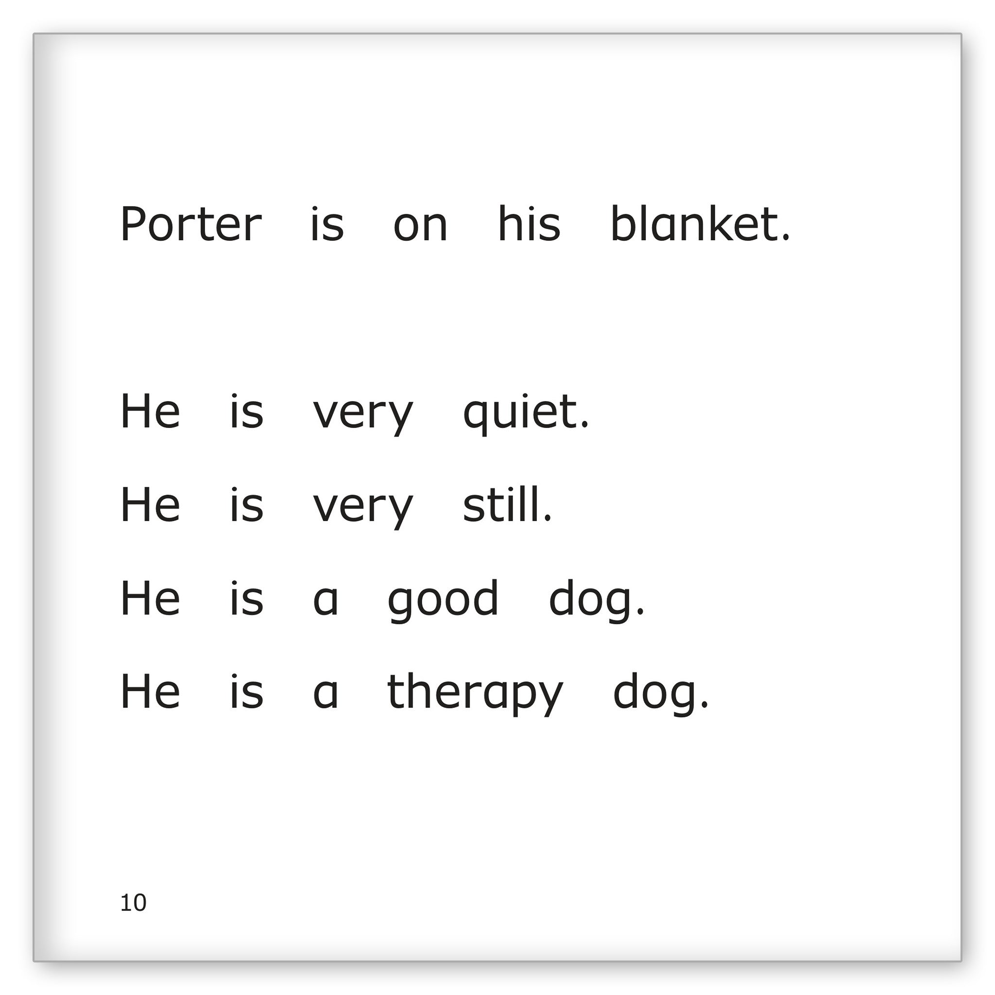 Porter The Therapy Dog