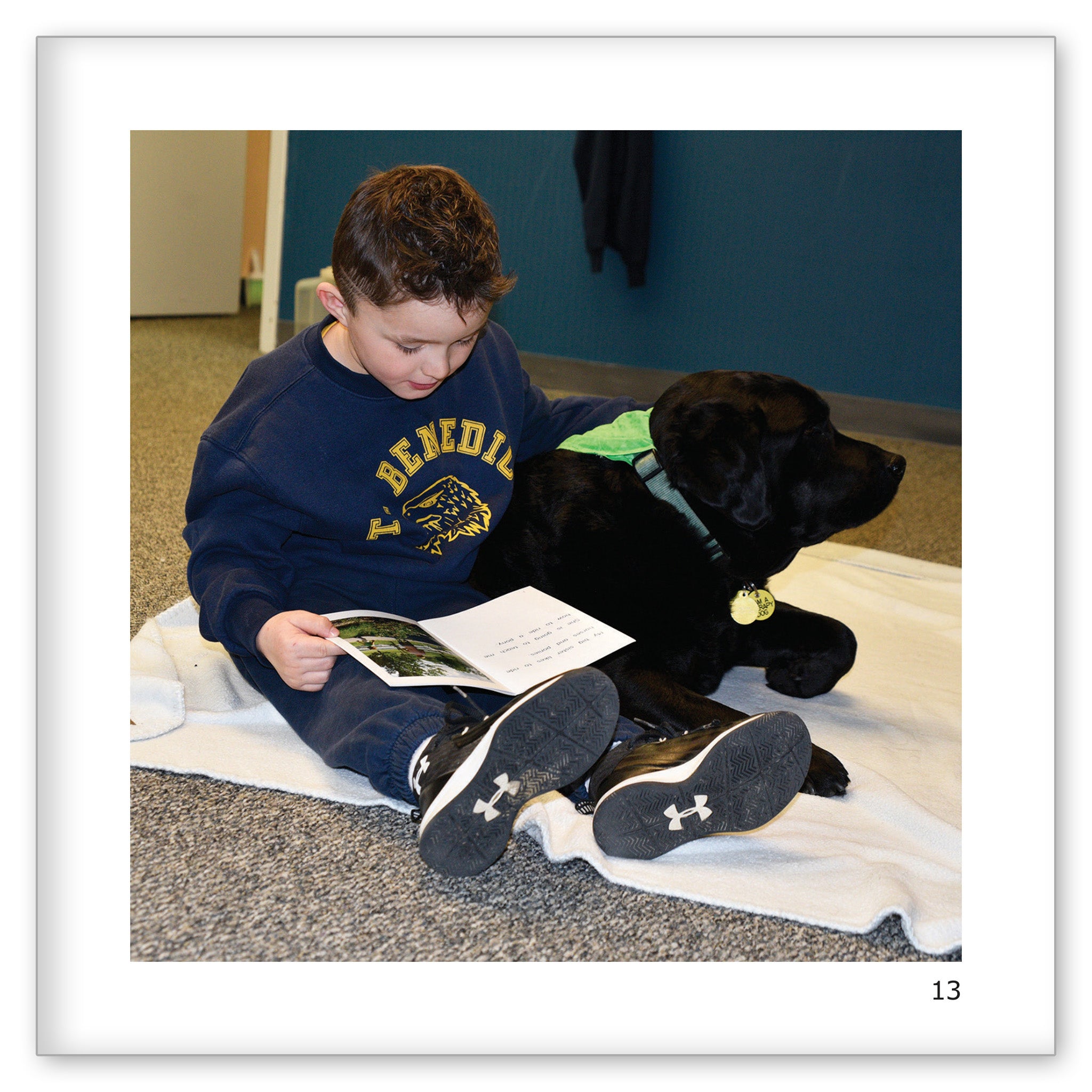 Porter The Therapy Dog