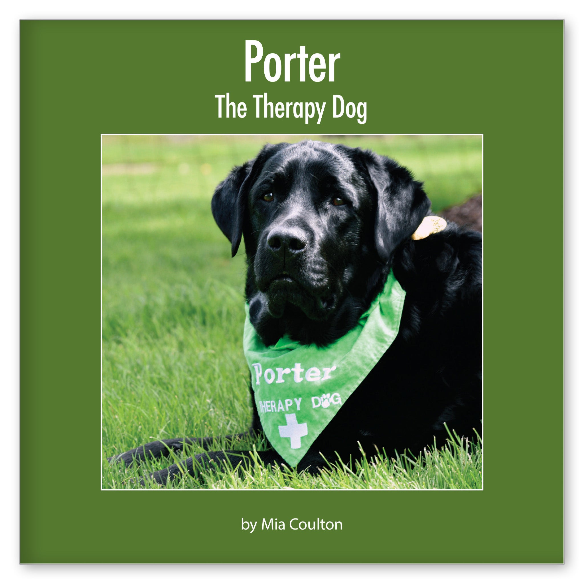 Porter The Therapy Dog from Out and About