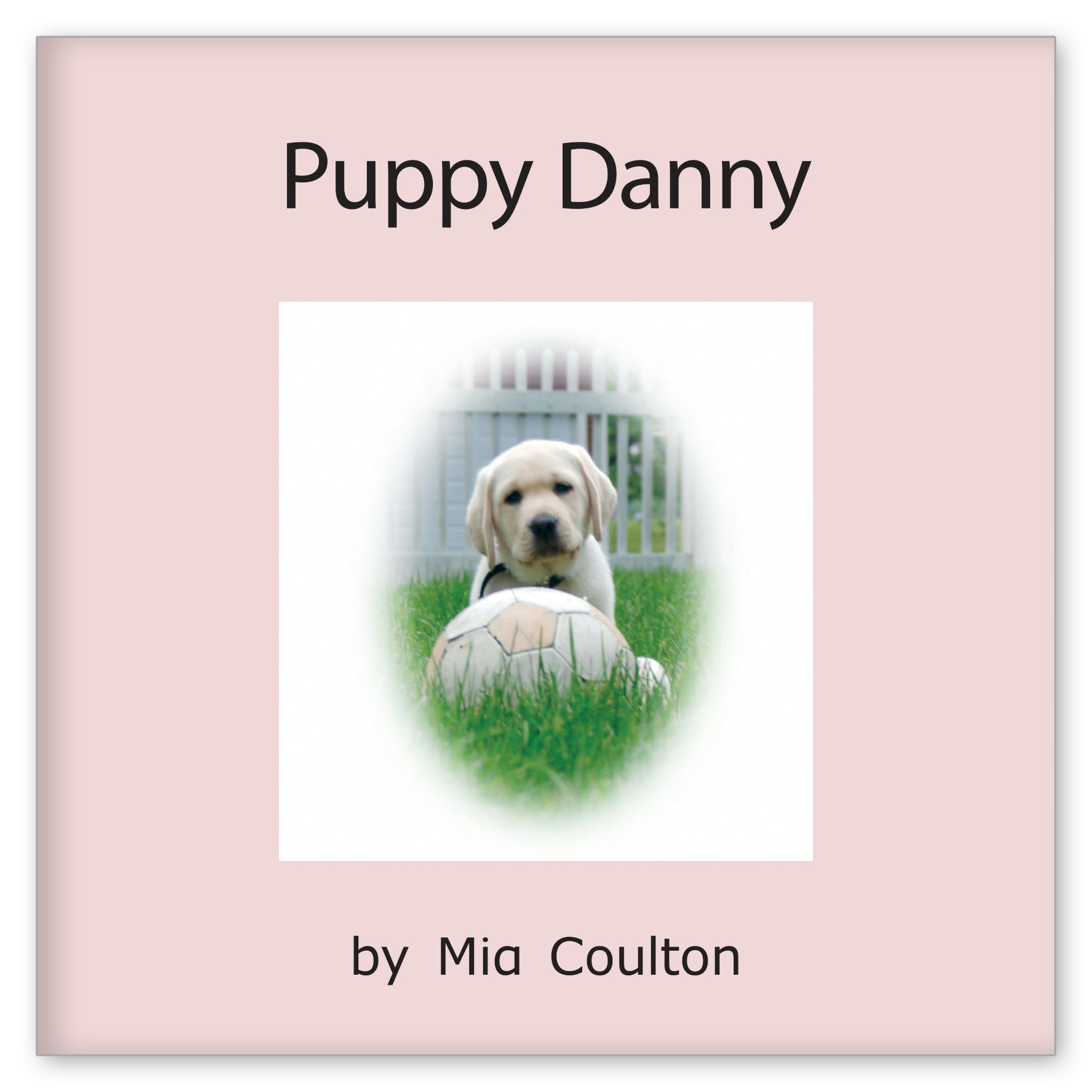Puppy Danny from Danny Returns