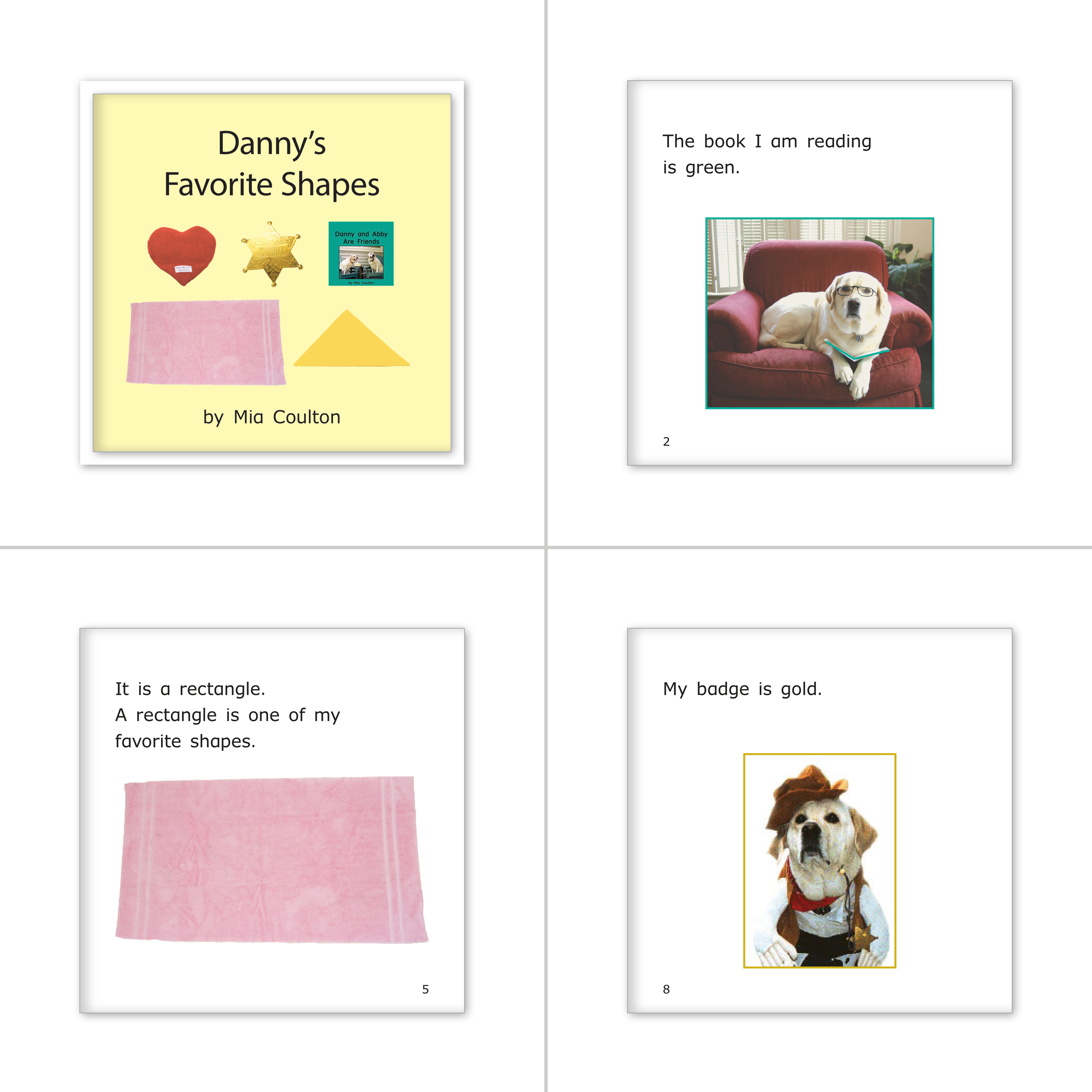 Reading Recovery Approved Books Set