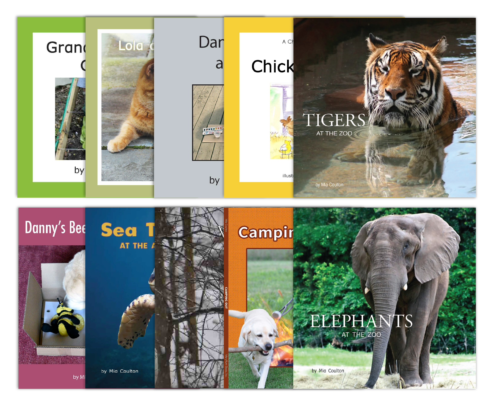 Reading Recovery Approved Books Set from Various Series